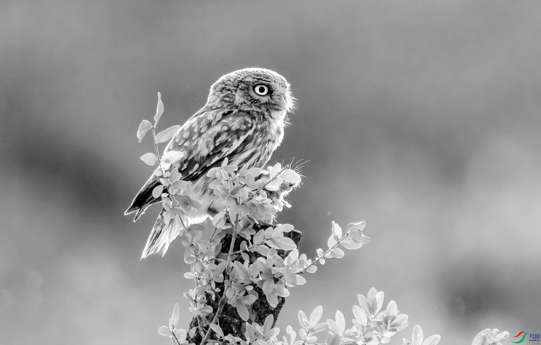 DSC00922 ����_����.jpg