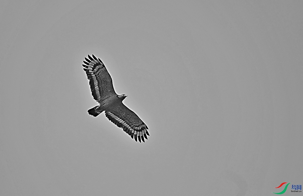 DSCF4733.1.jpg