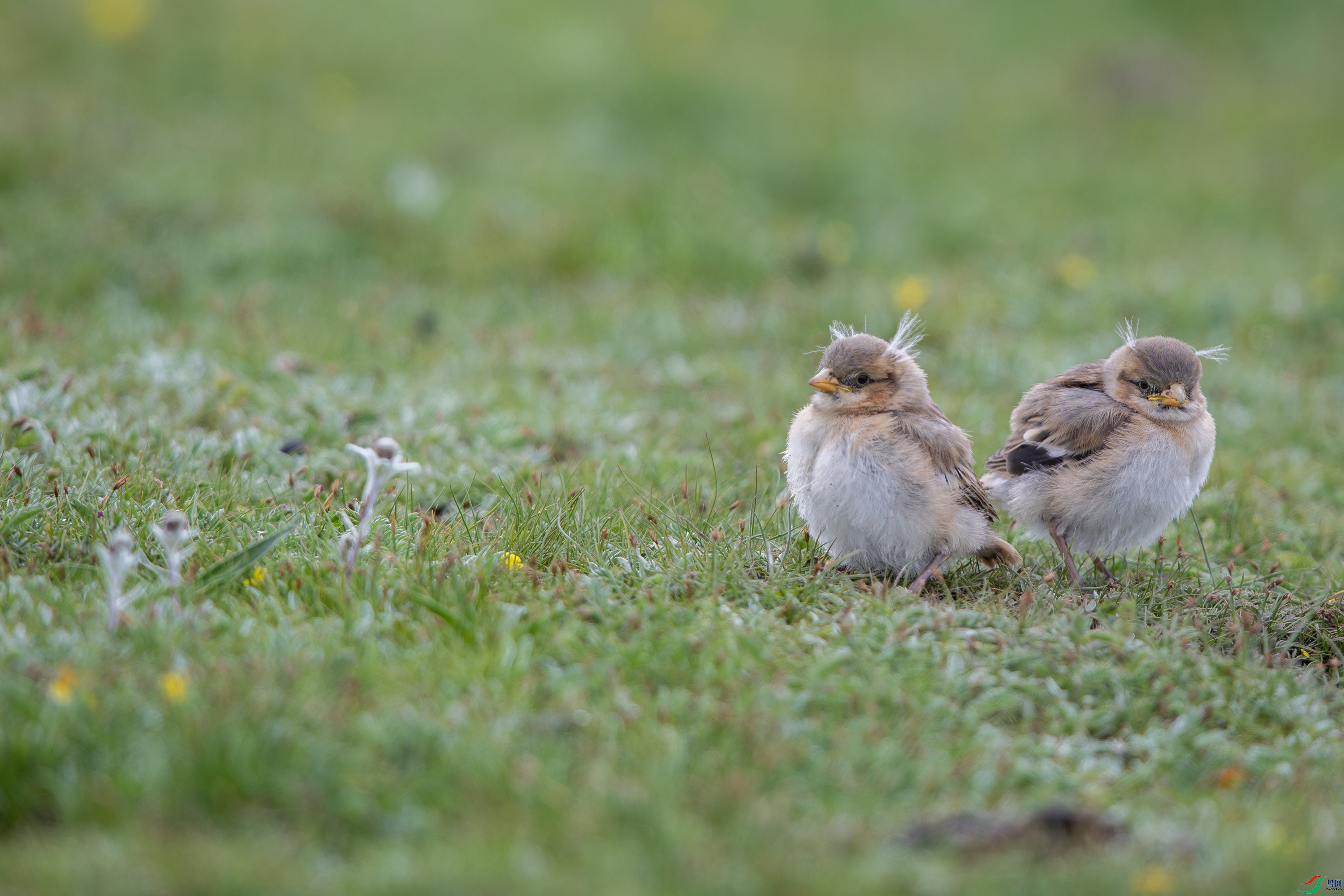 3S5A0077- ����.jpg