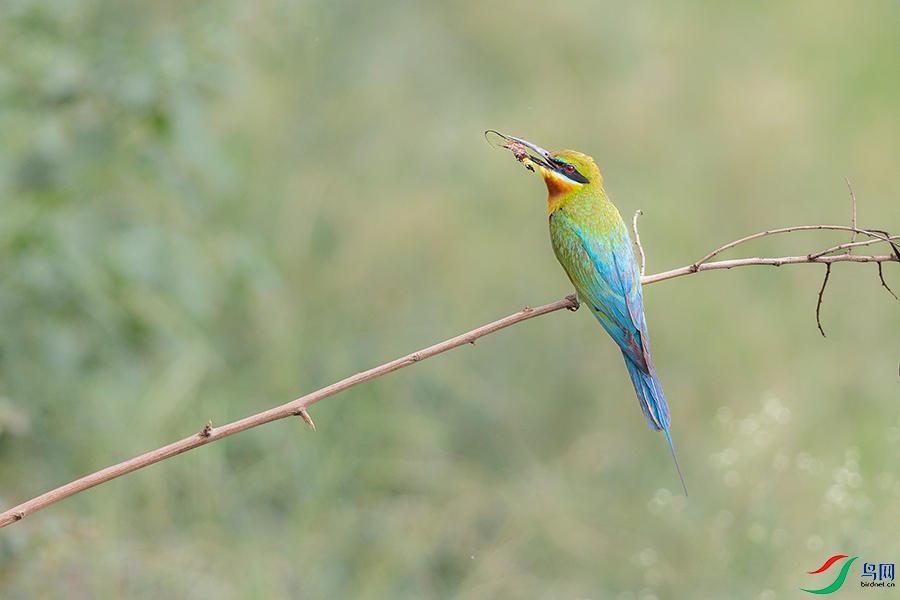 0R5A3518 ����.jpg