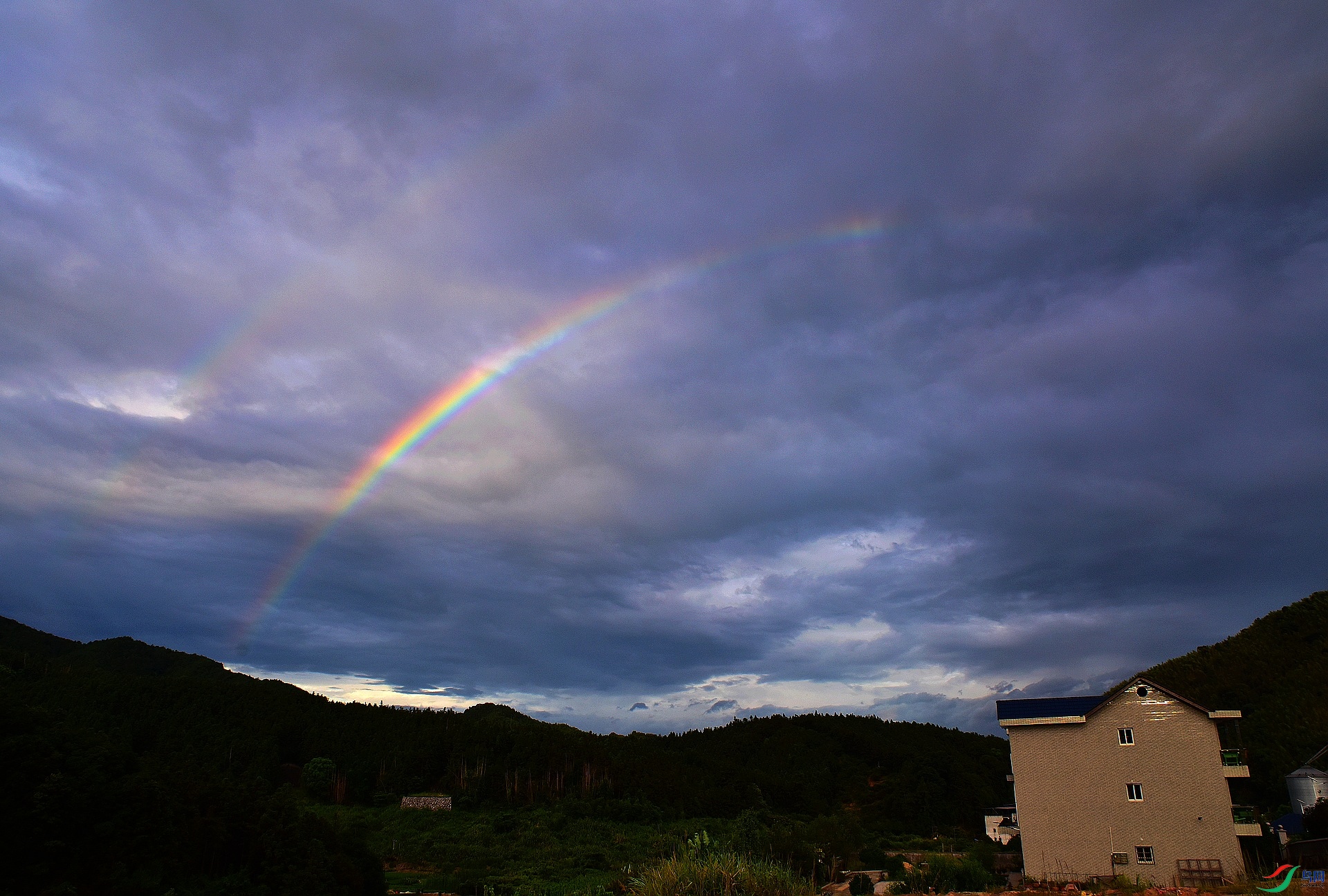 D8I_9769.jpg