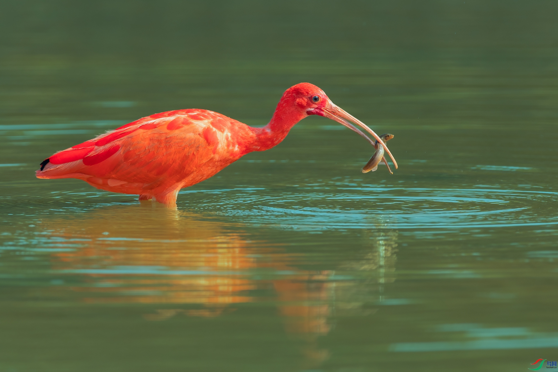 B86I5611 _����.jpg