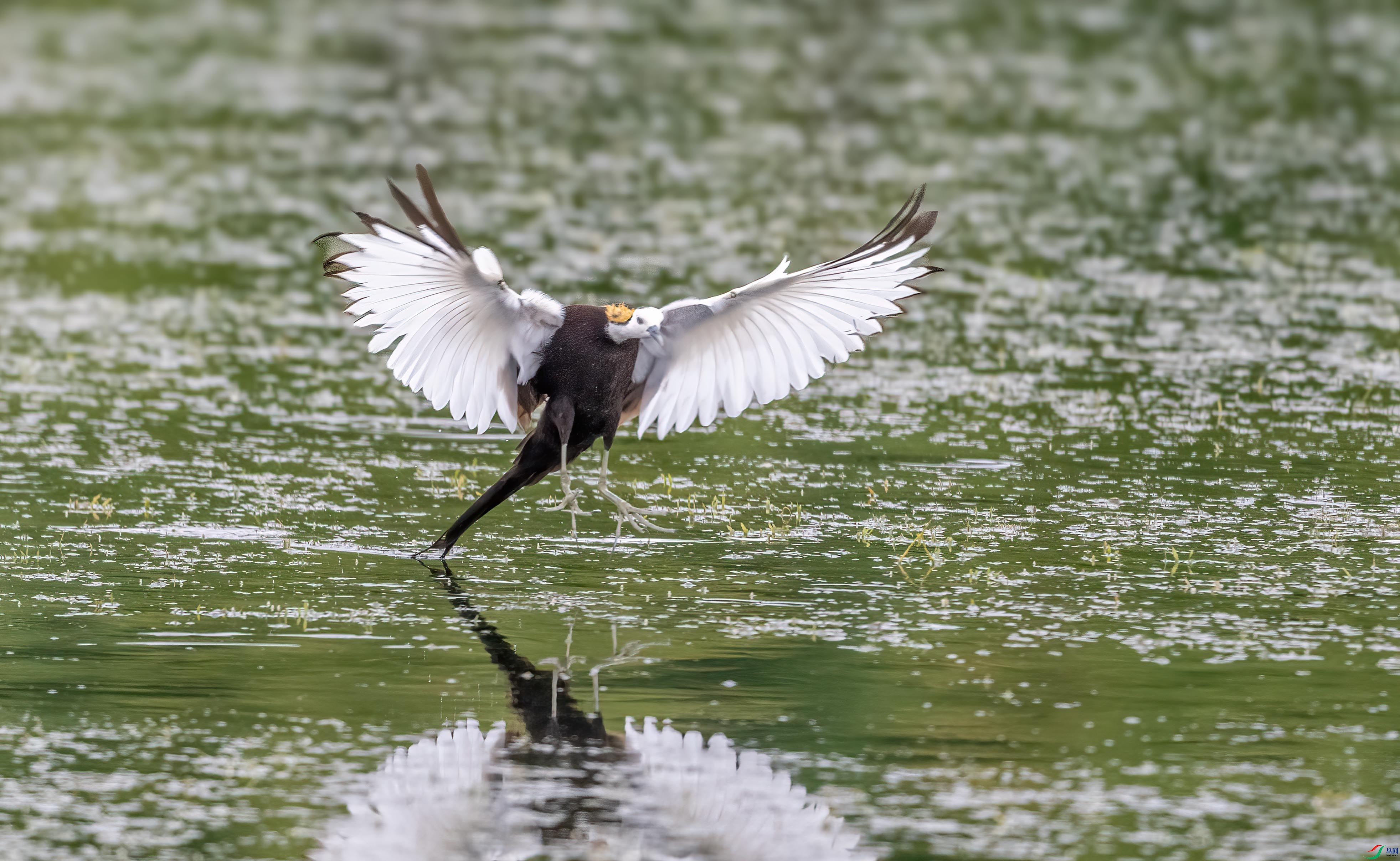 DSC_6759 ����.jpg