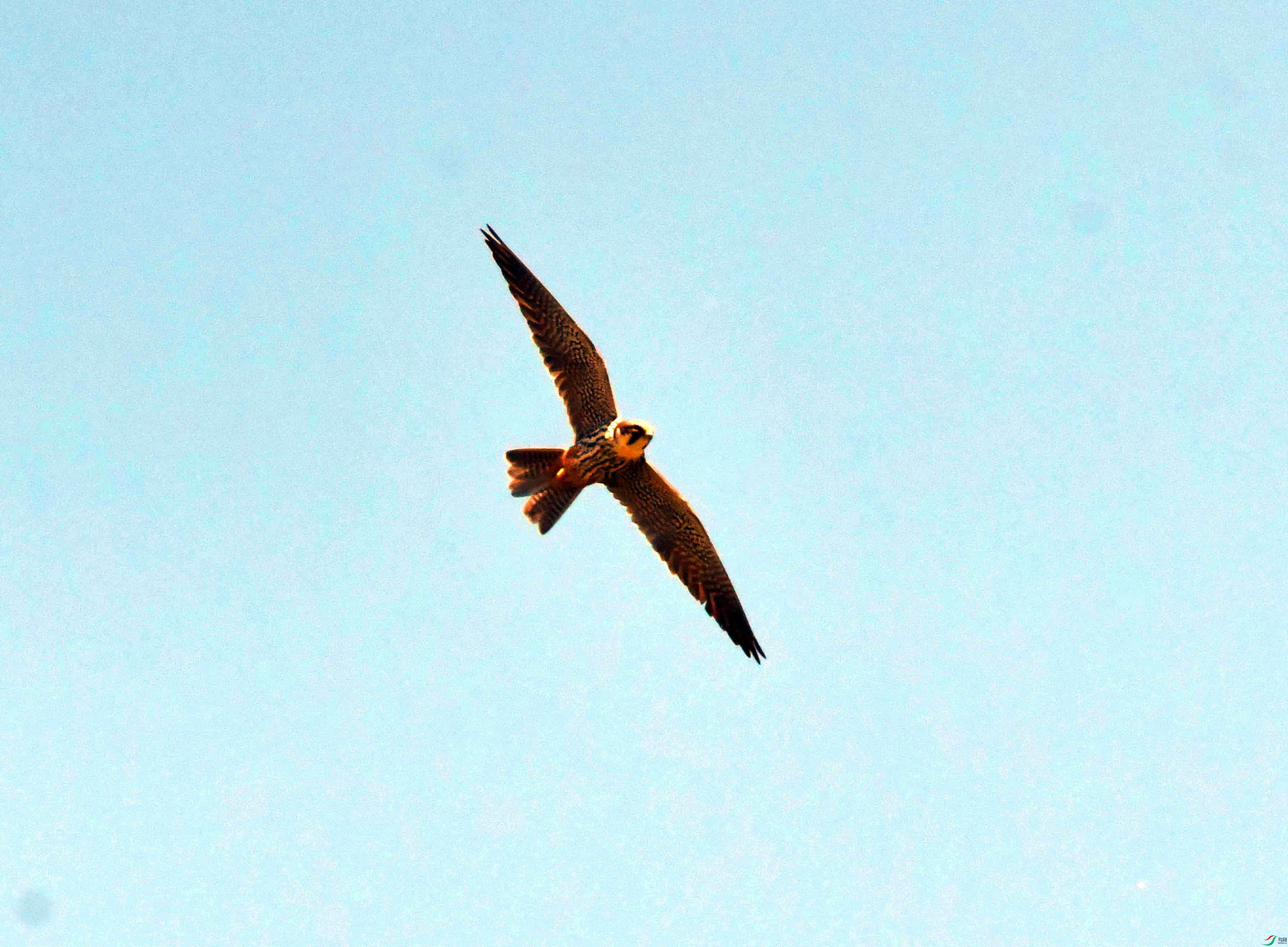 DSC_0099.JPG