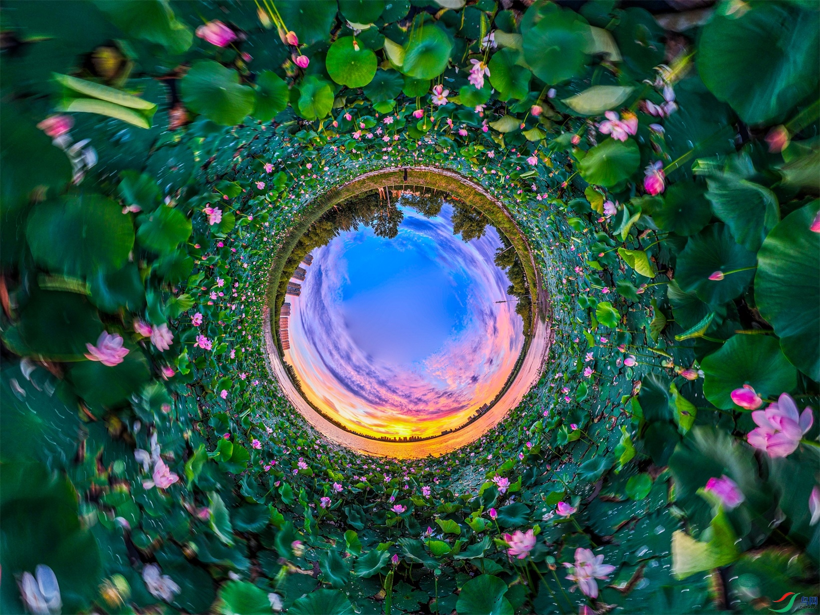 dji_export_20240724_165407_1721811247005_sphere_screenshot ����1.jpg