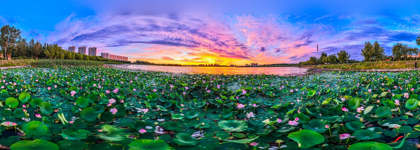 dji_fly_20240724_040422_589_1721811250310_pano ����1.jpg