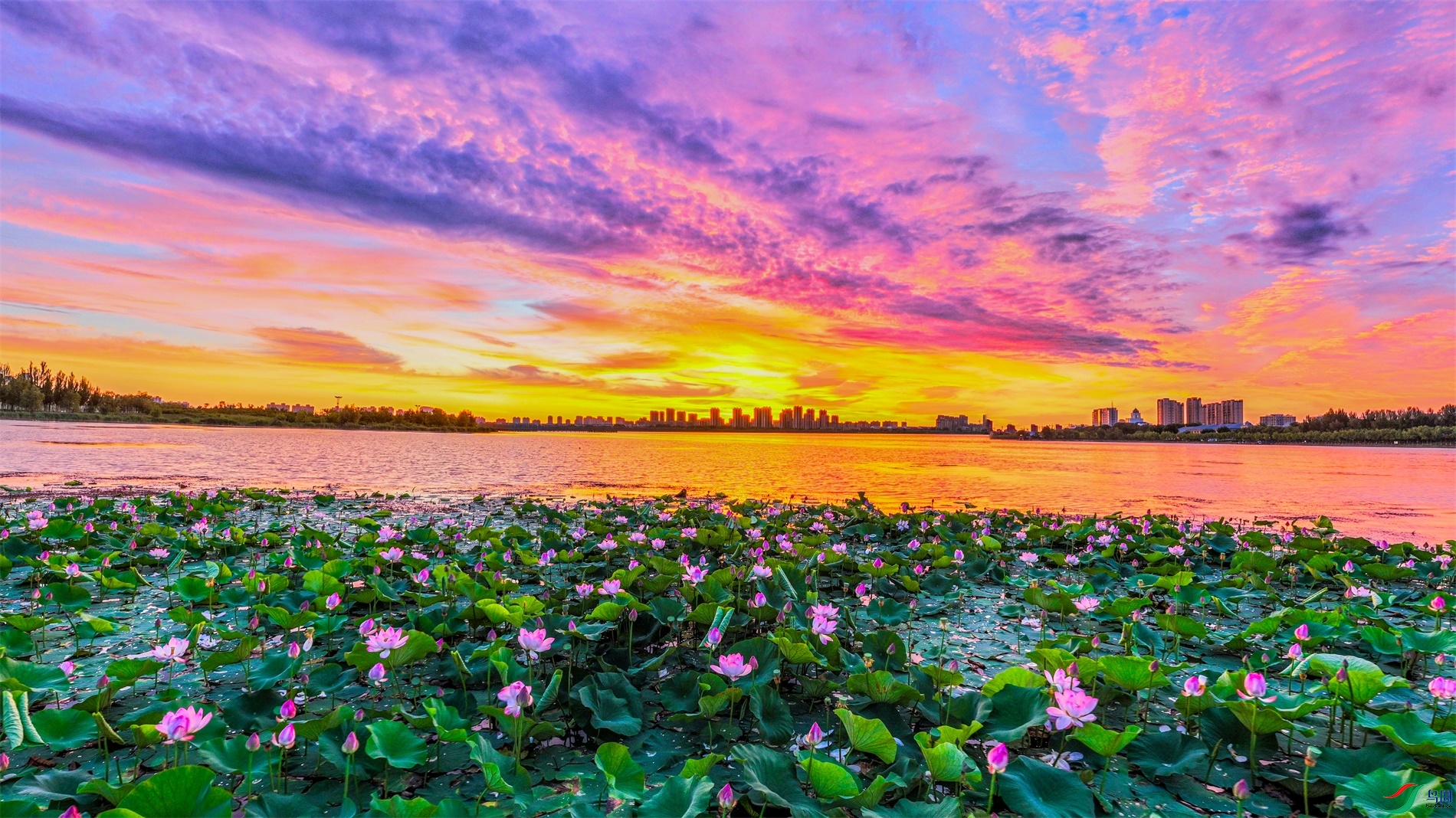 dji_export_20240724_165325_1721811205983_sphere_screenshot ����1.jpg