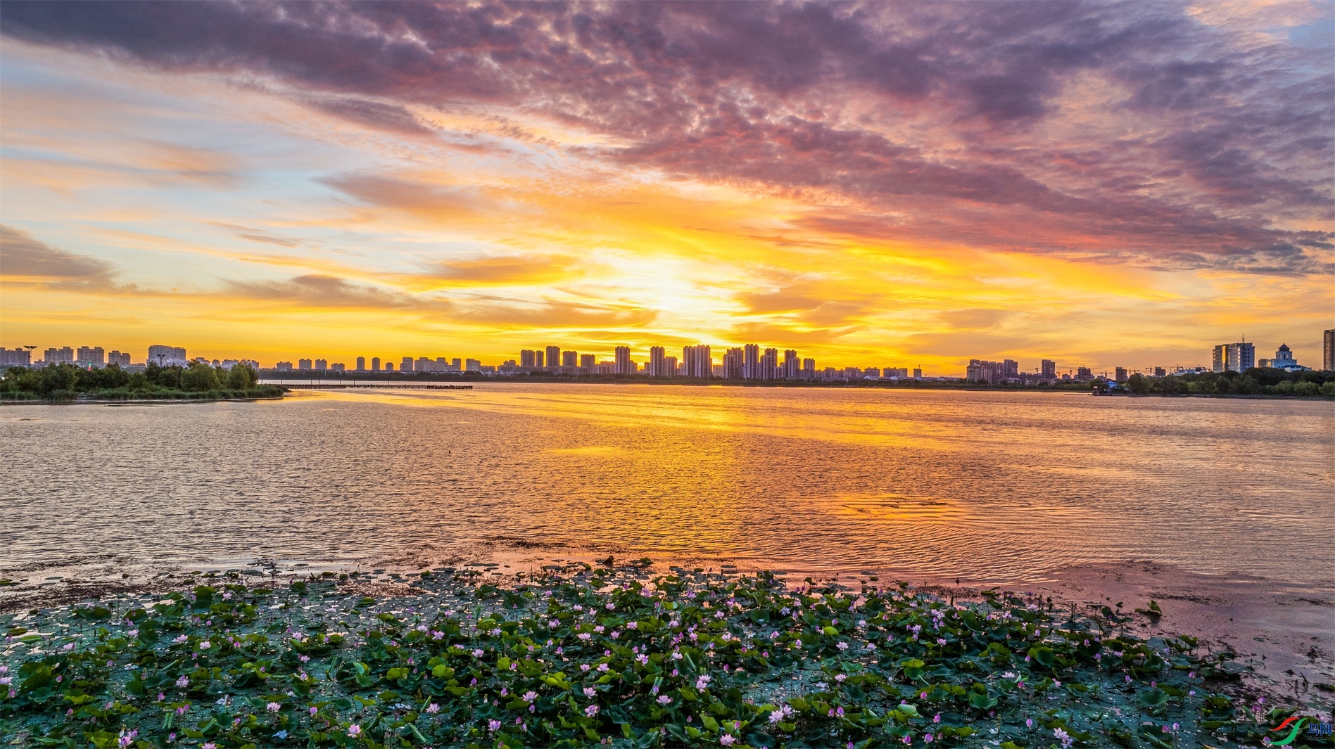 dji_fly_20240724_040448_591_1721811267284_photo ����1.jpg