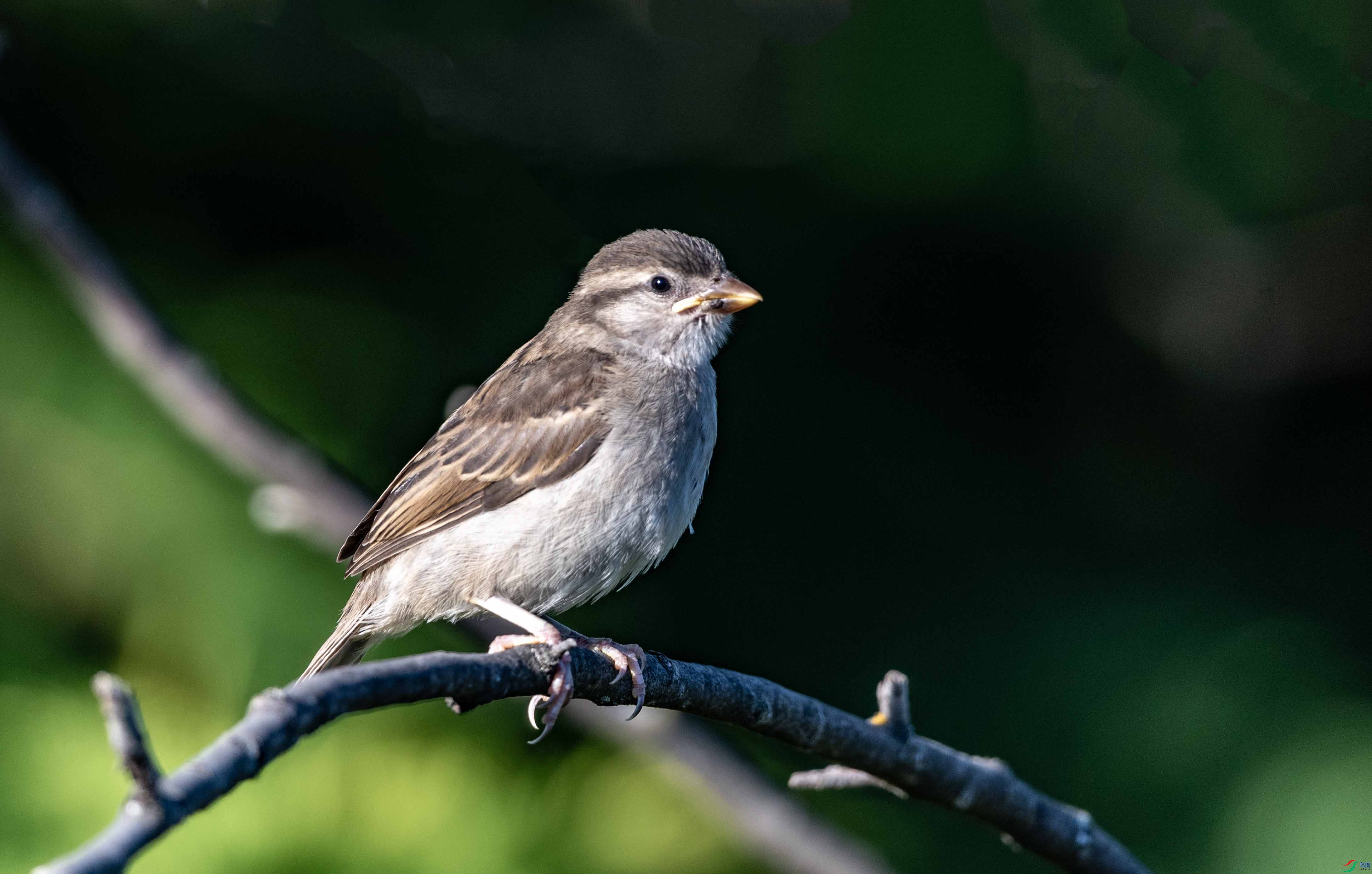 DSC_7761 ����2.jpg