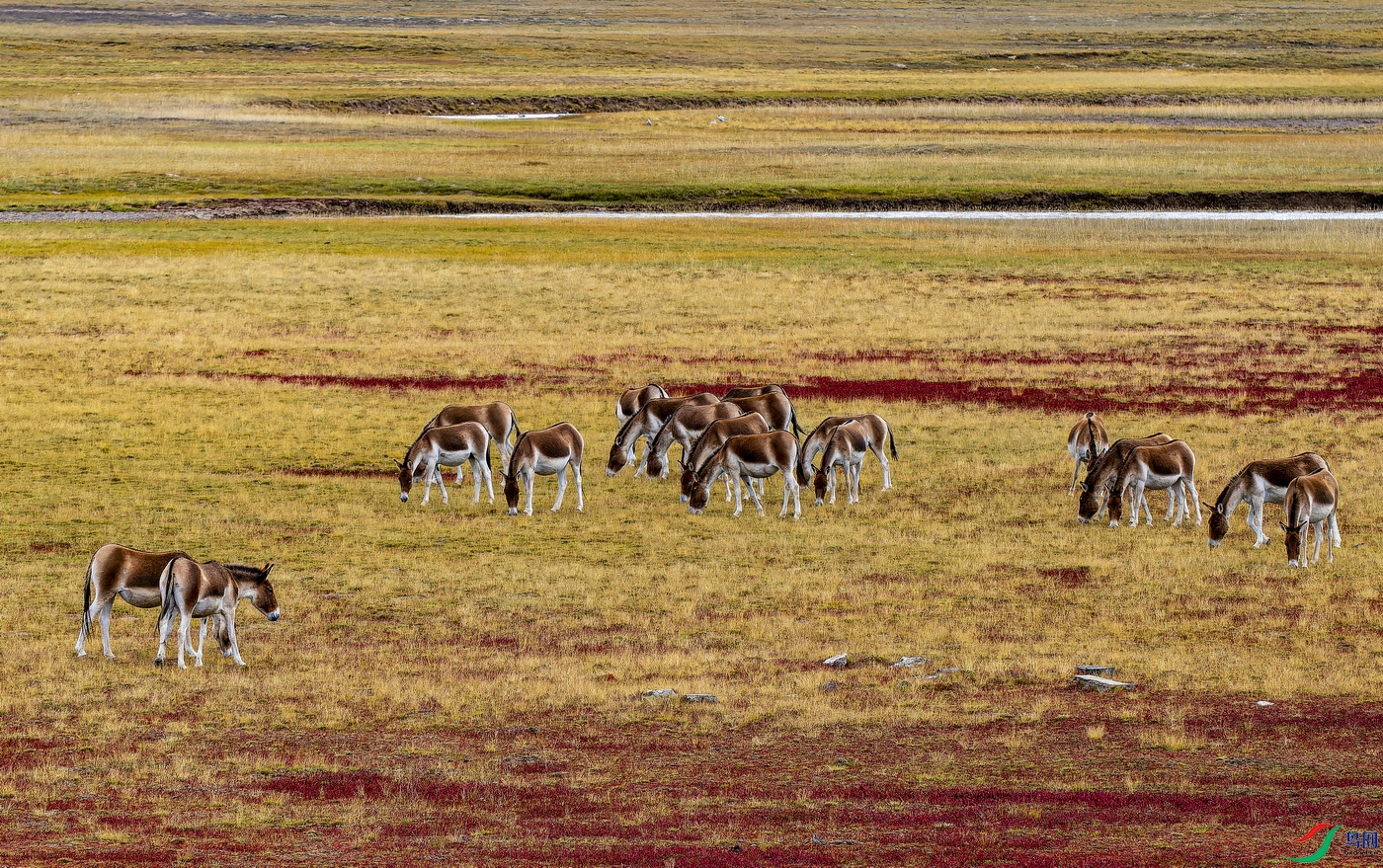 ��Ұ¿ (5)-1.jpg