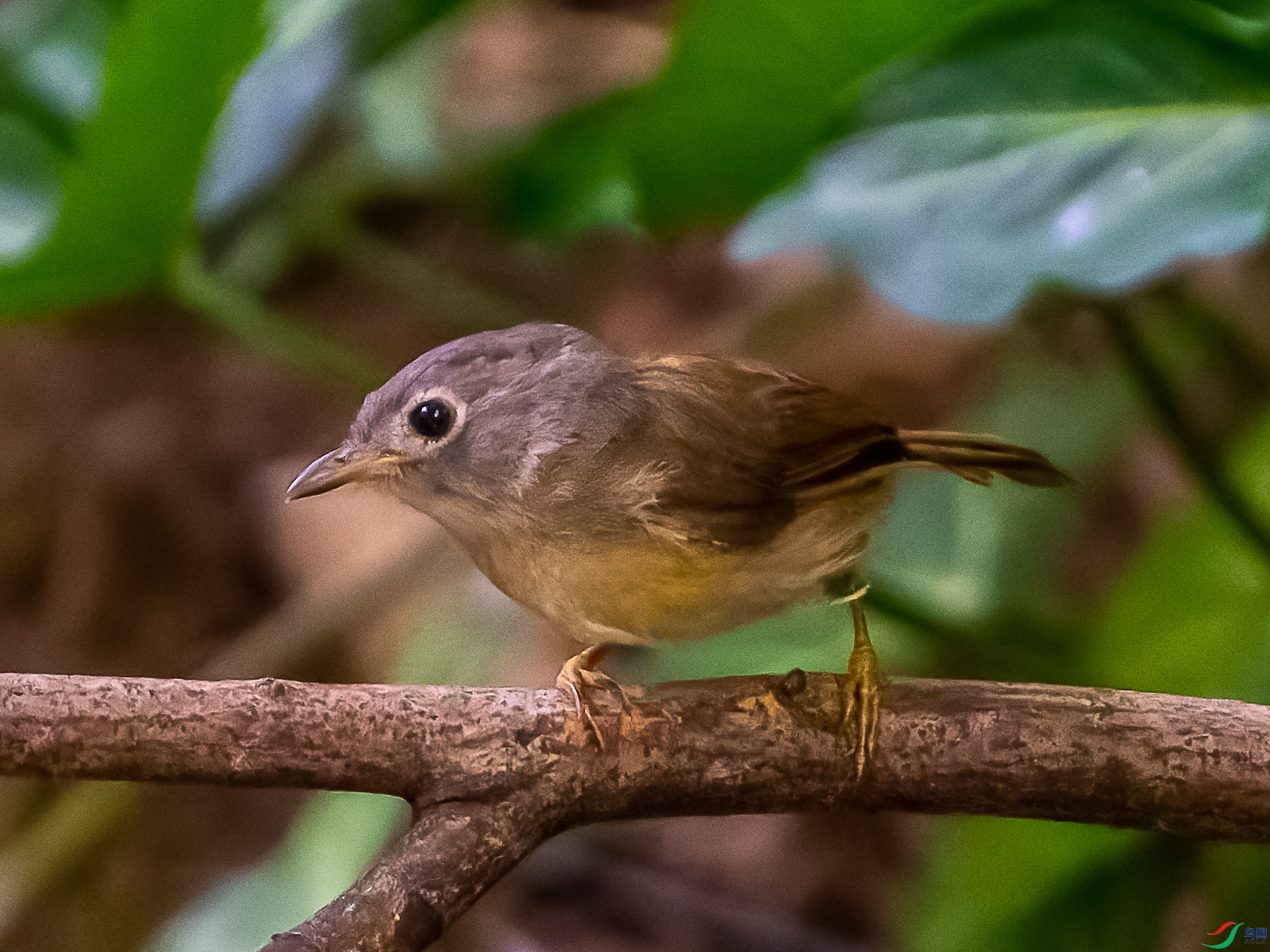 DSC04271-1.jpg