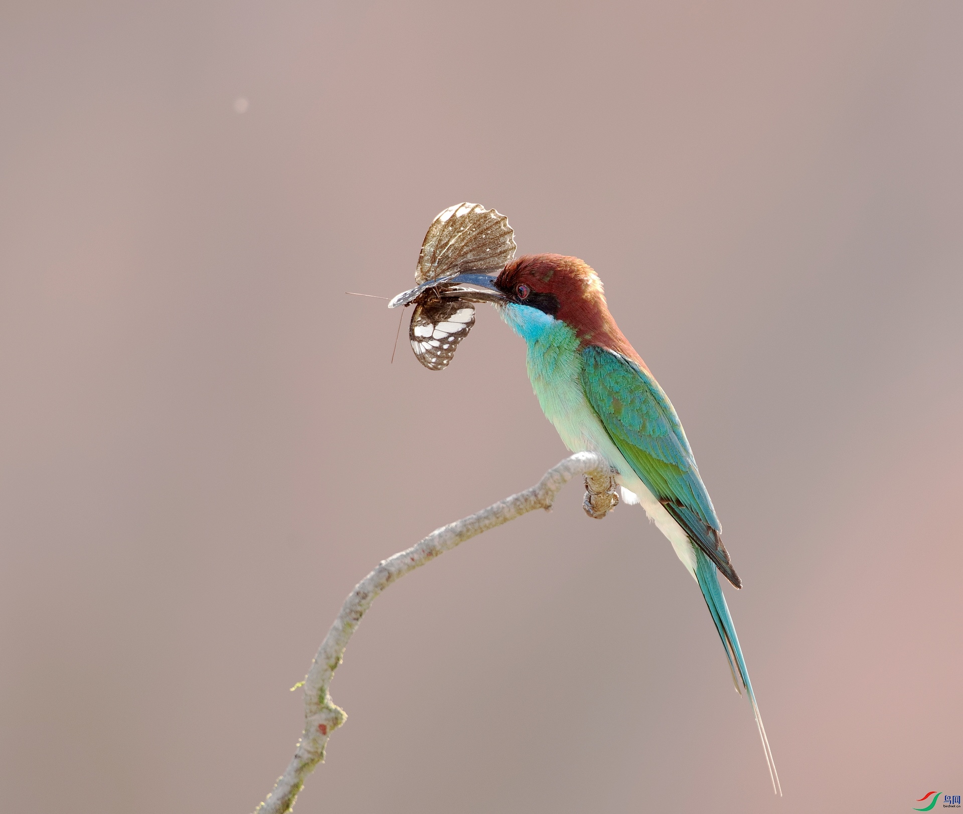 D8I_8044.jpg