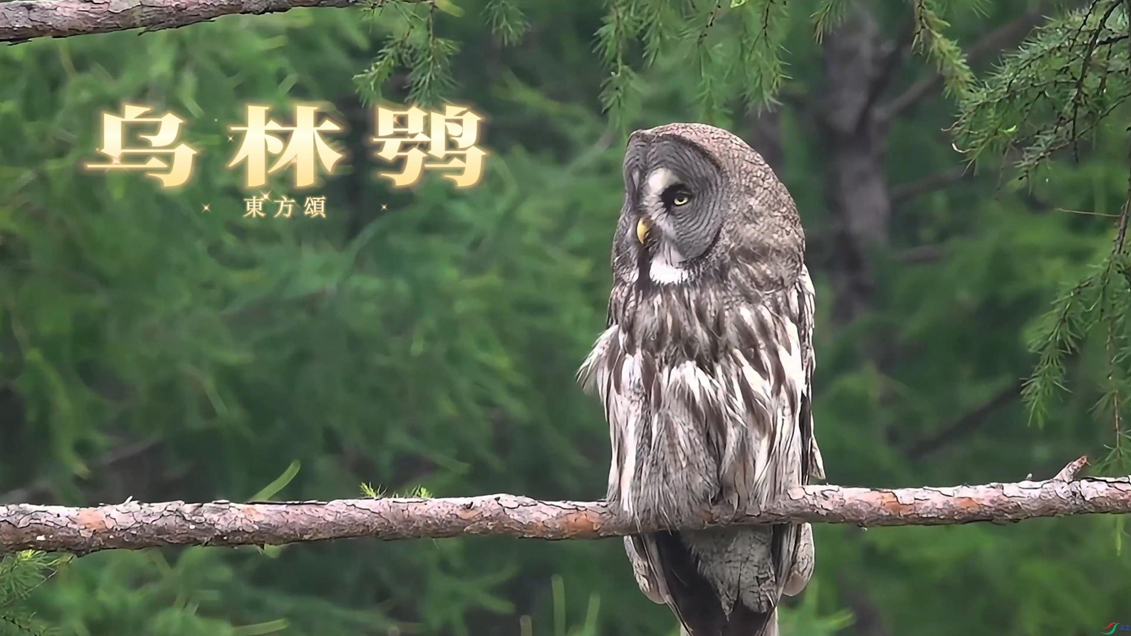 7��25�� (2)(3)-����.jpg