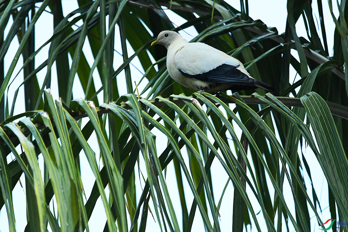 DSC_6460.JPG