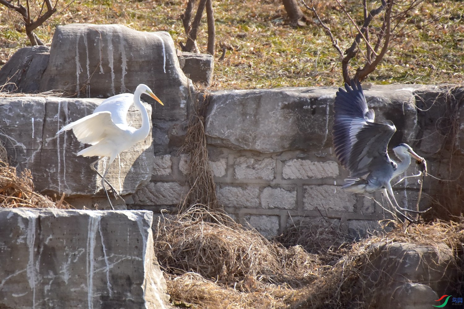 DSC_5937.JPG