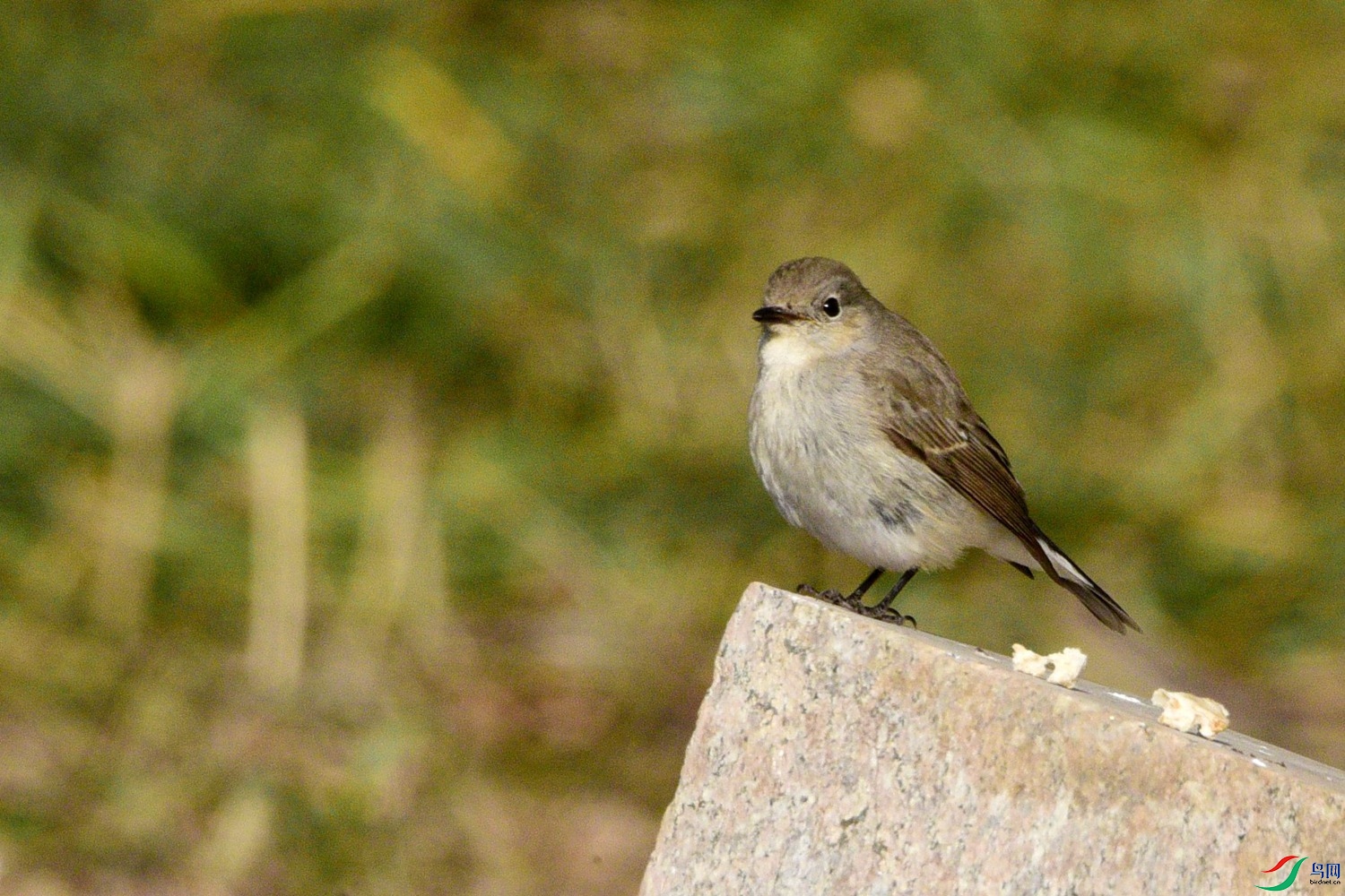 DSC_1758.JPG