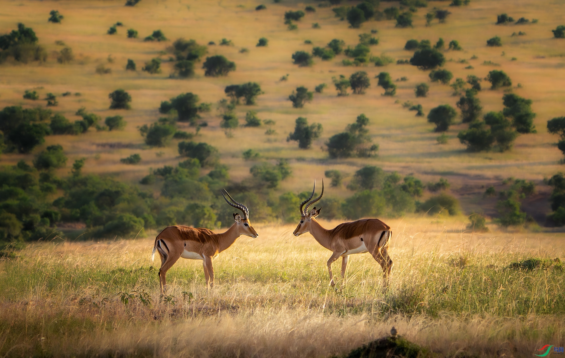 _DSC7825-����ǿ-NR ����.jpg