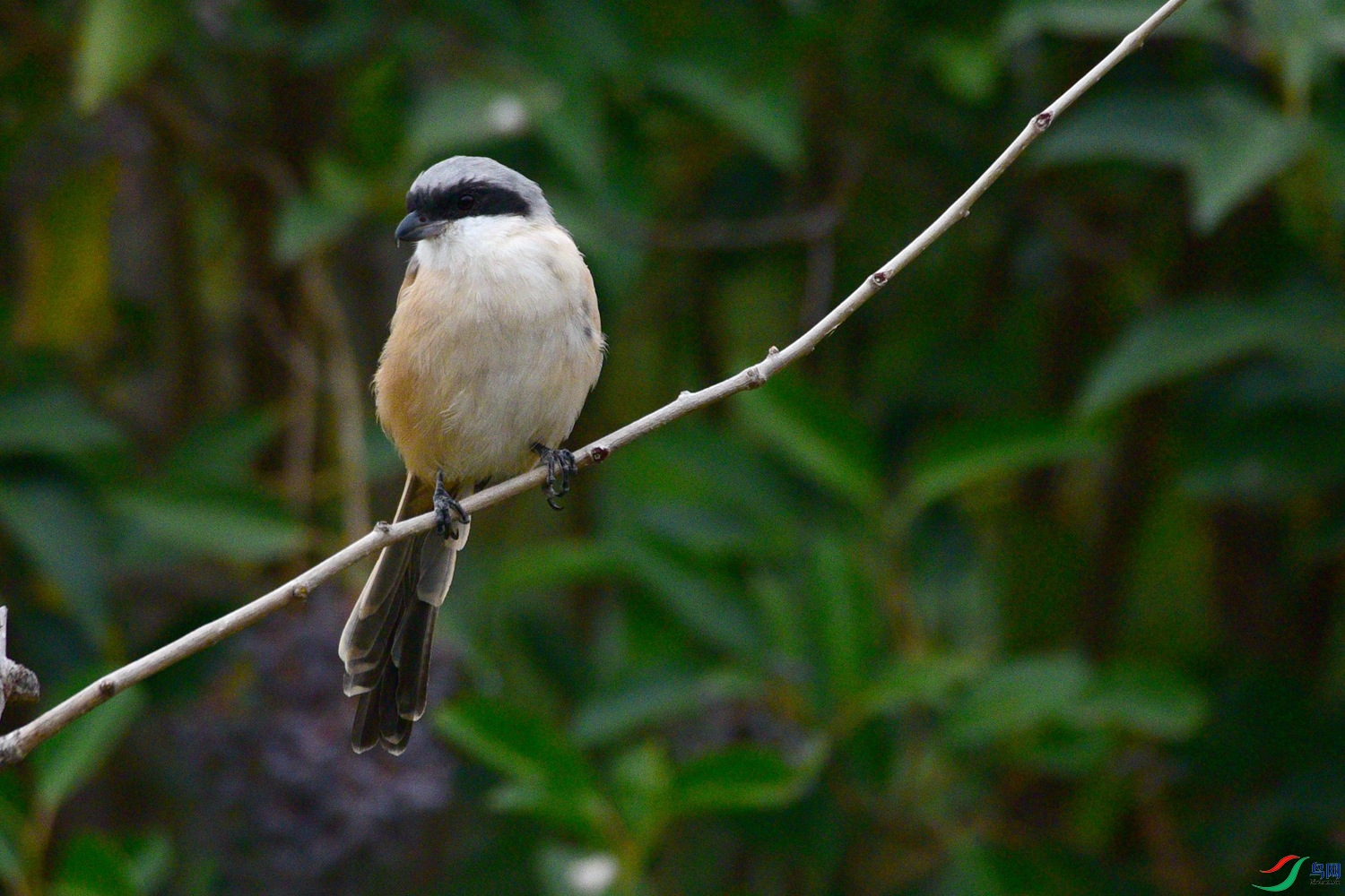 DSC_3577.JPG