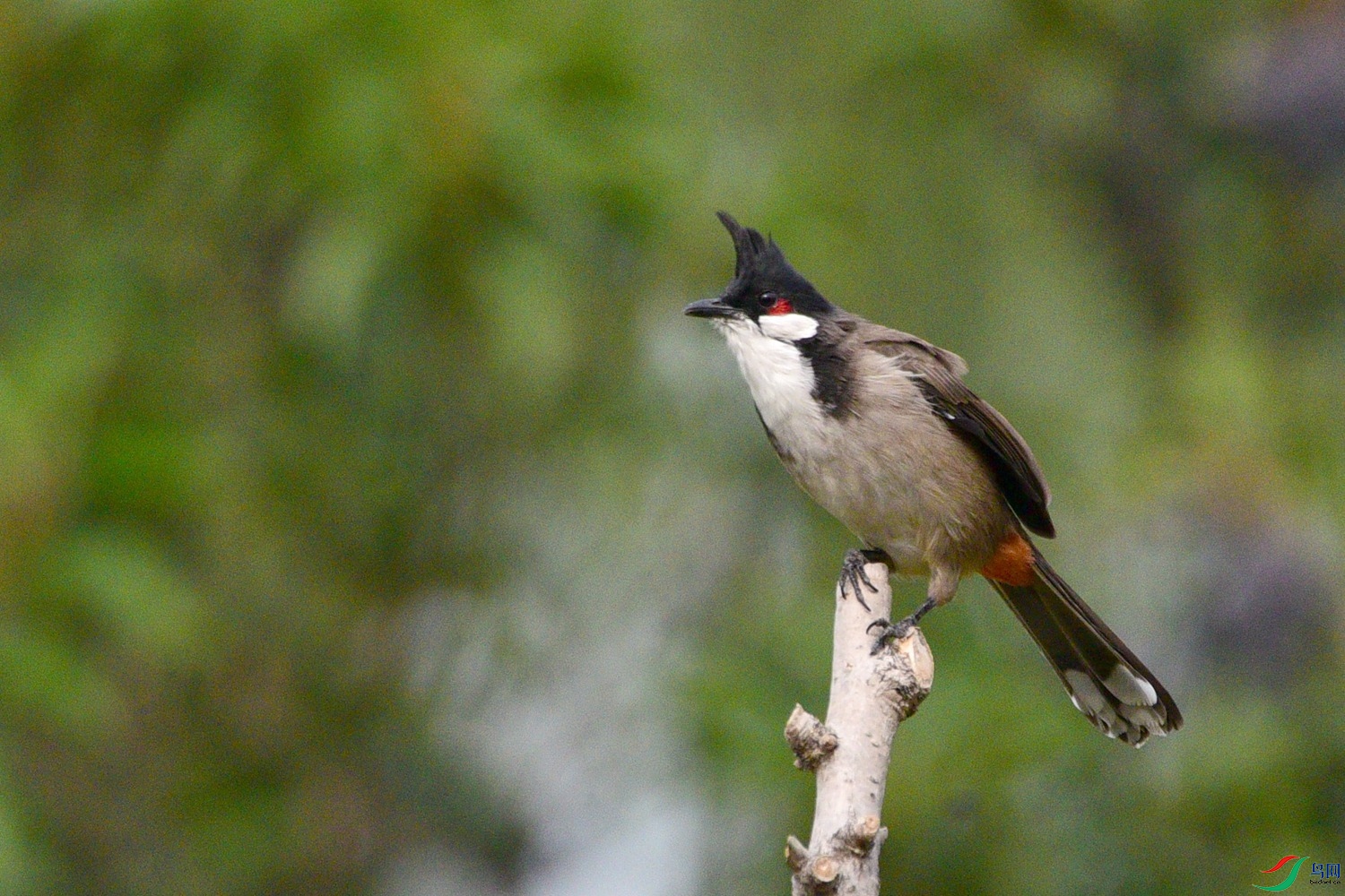 DSC_3662.JPG