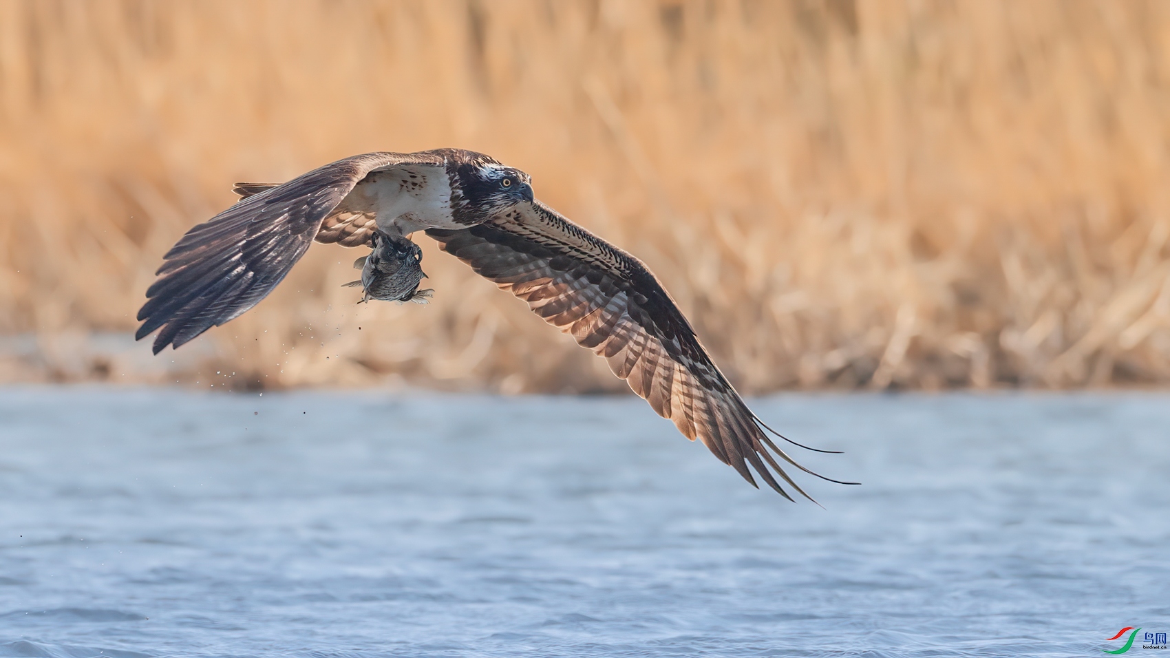 DSC_5767.jpg