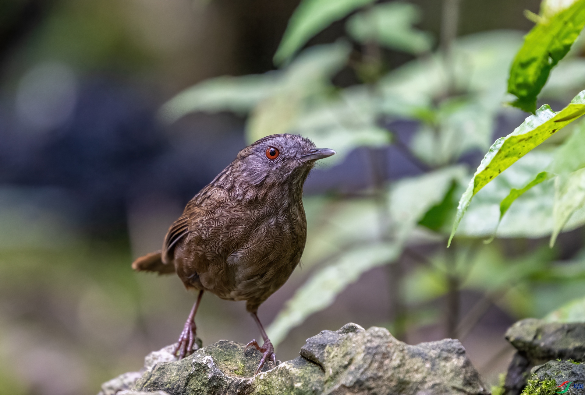 DSC_6456-1.jpg