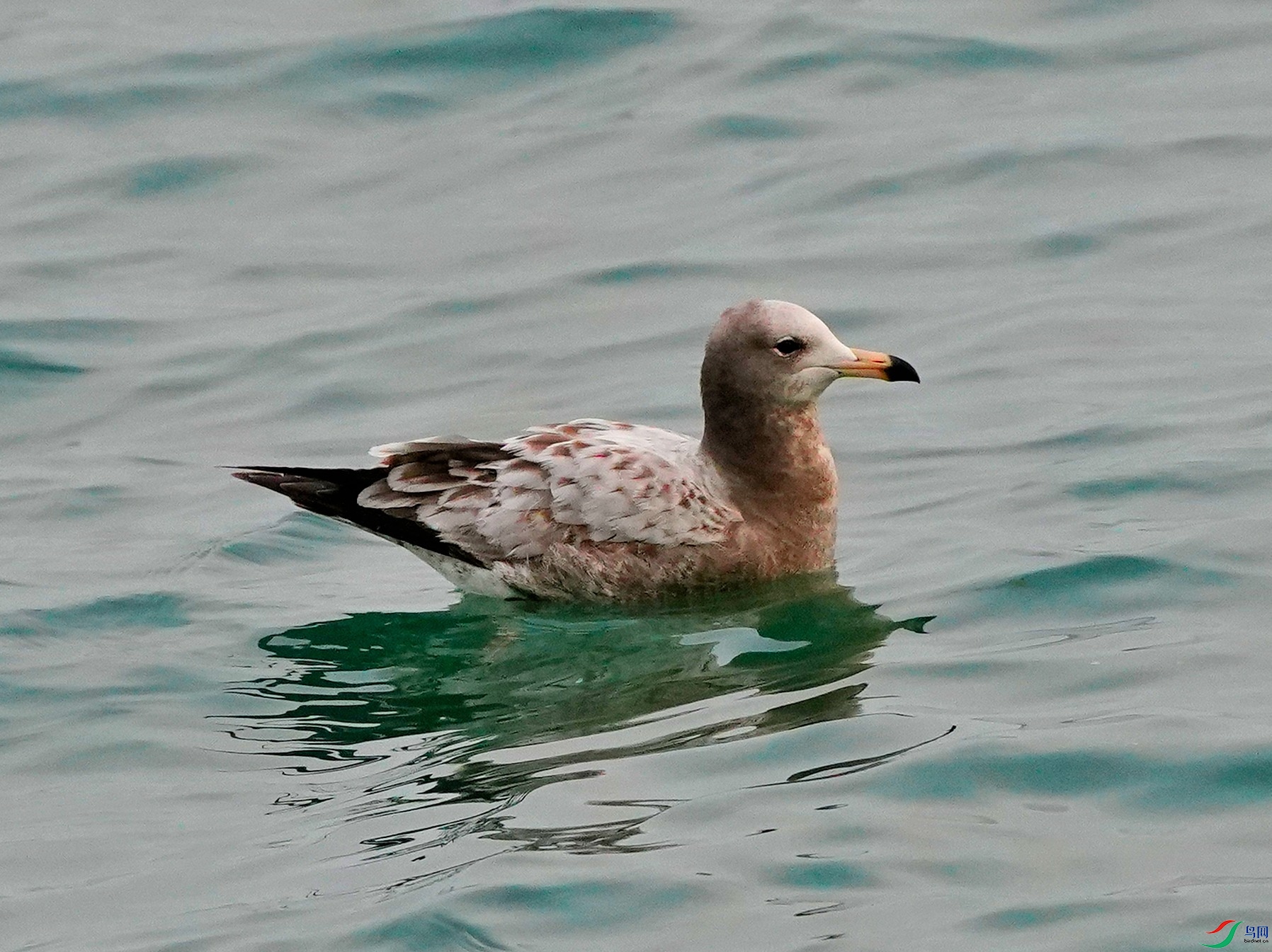 DSC05281-2024-3-13.JPG