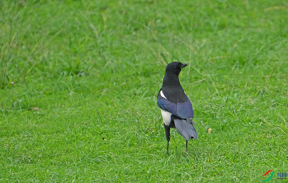 DSCF1860.1.JPG
