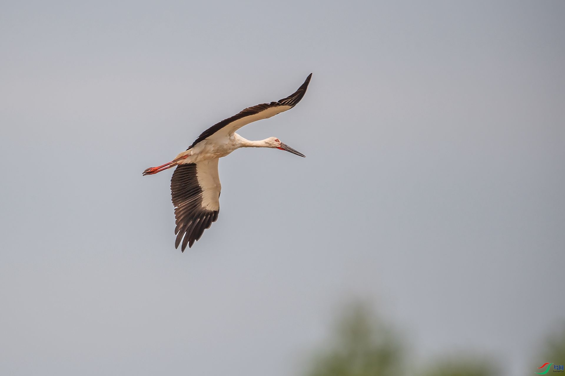 DSC_3543.jpg