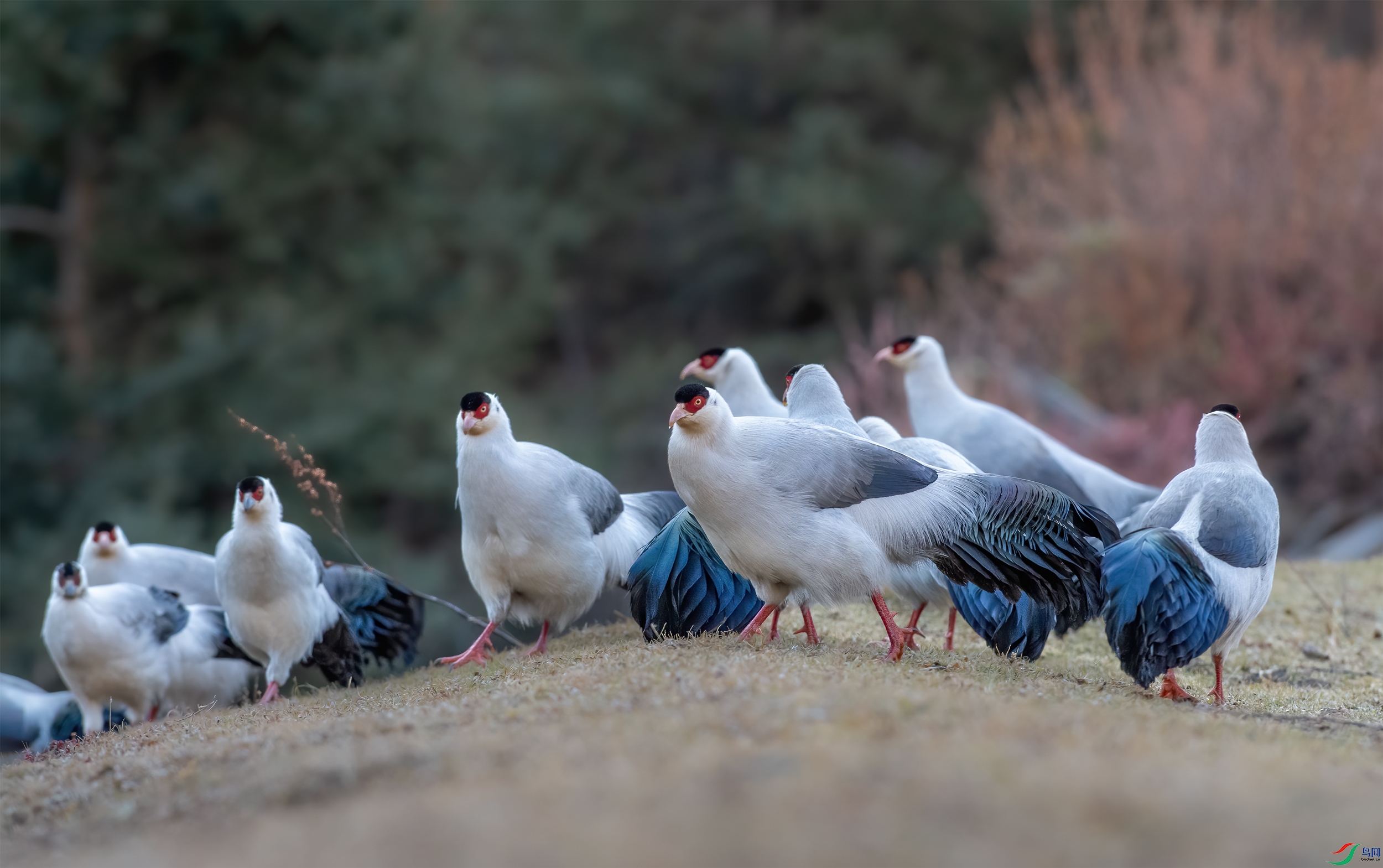 DSC_9345-11.jpg