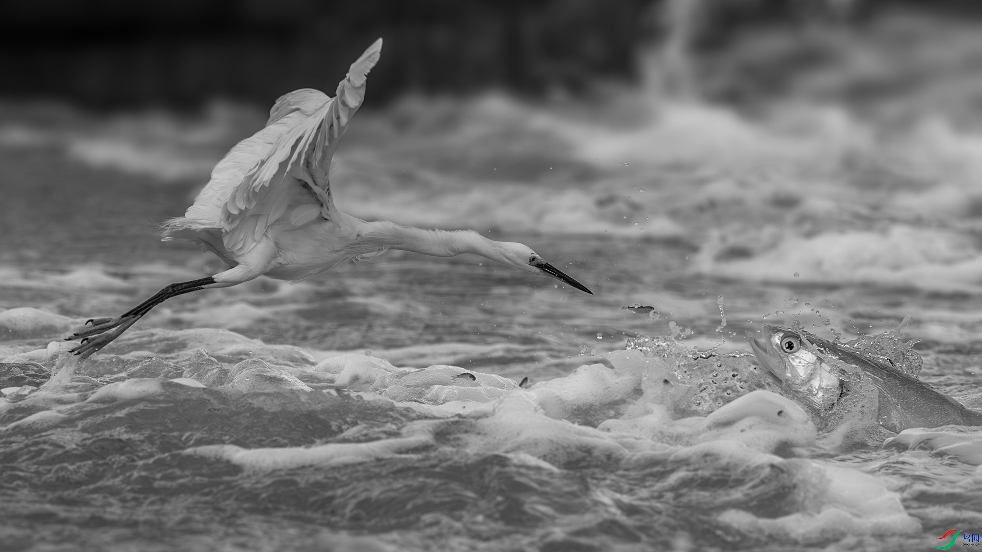 _16A7753-1.jpg