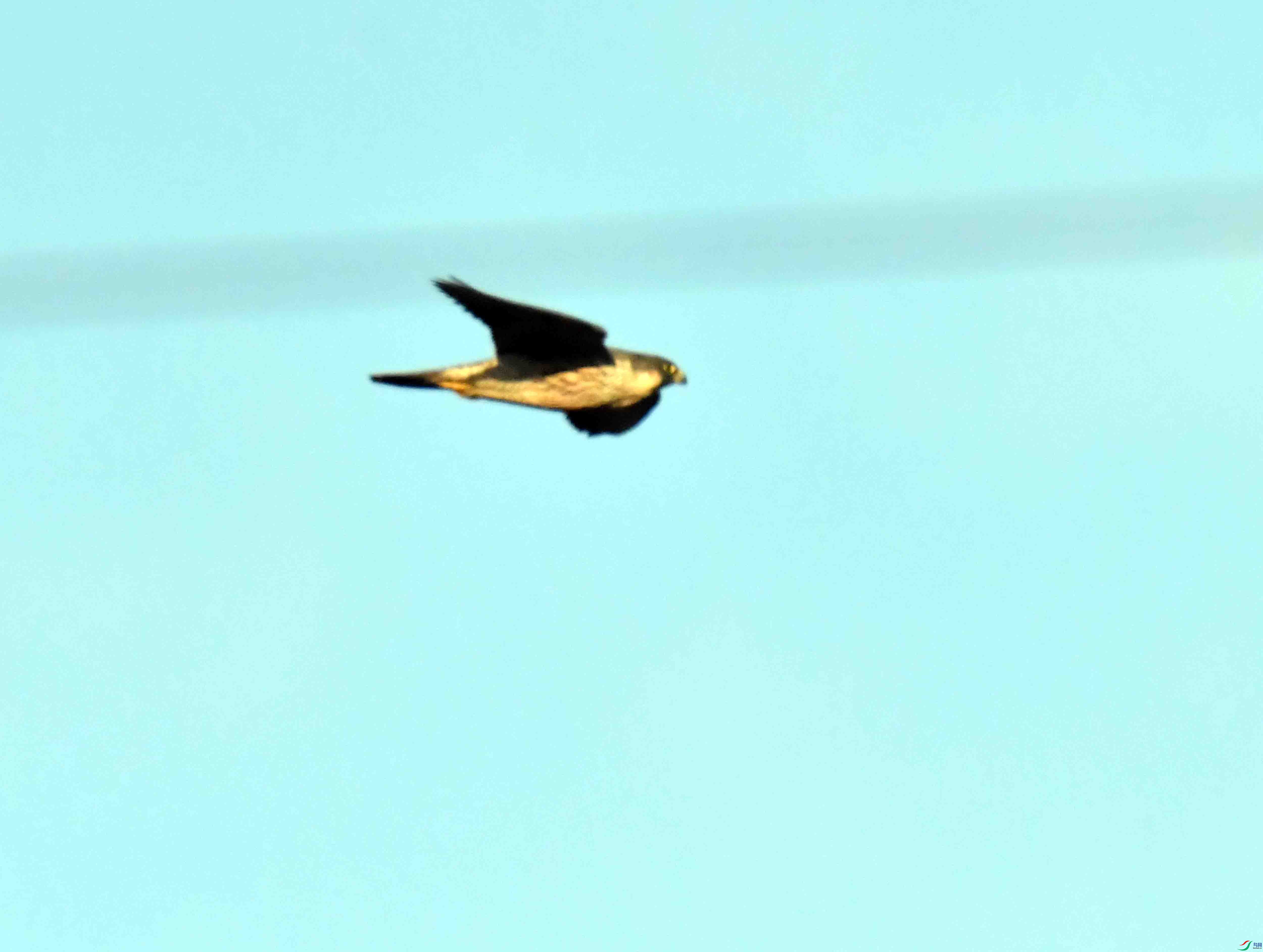 DSC_9020.JPG