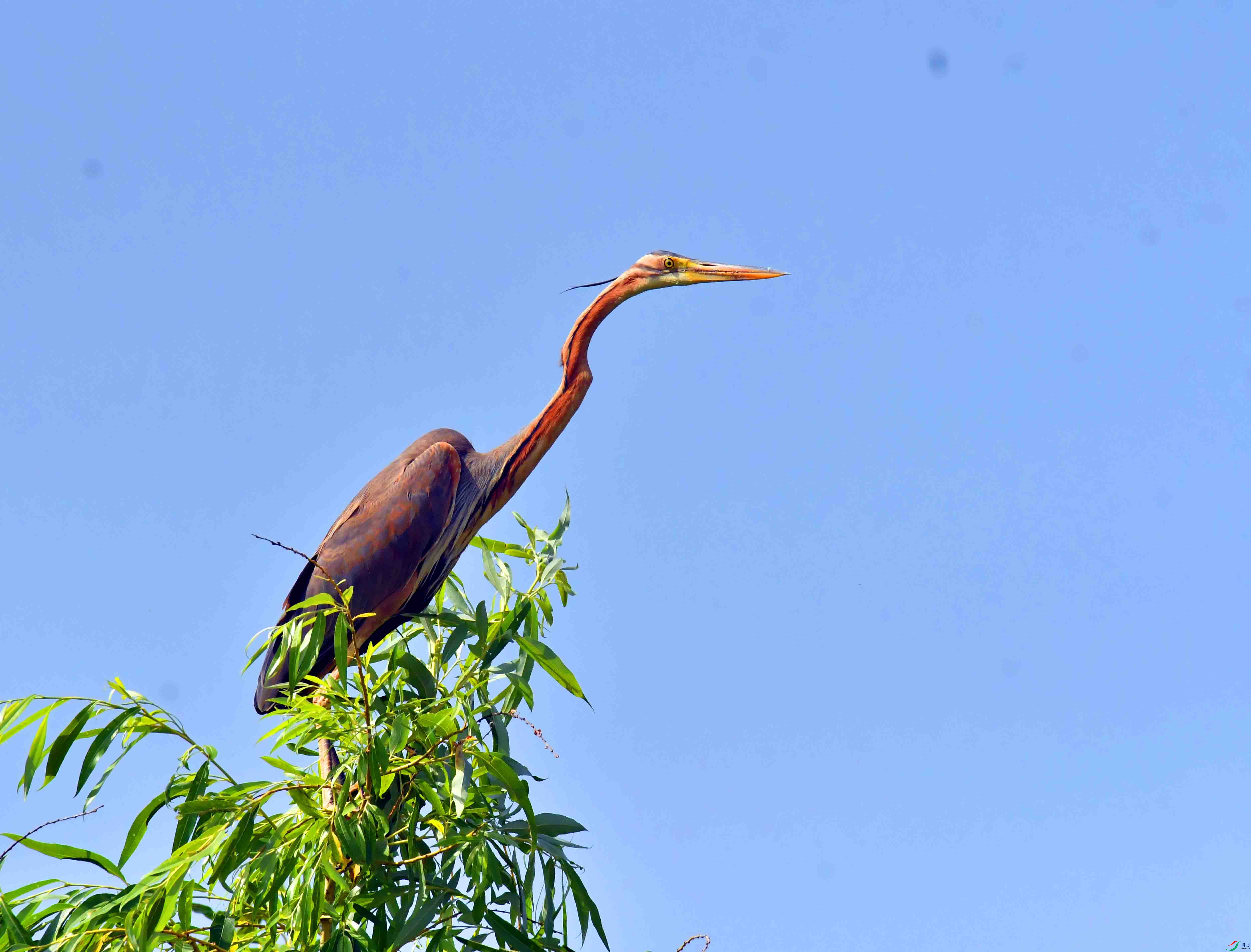DSC_9901.JPG