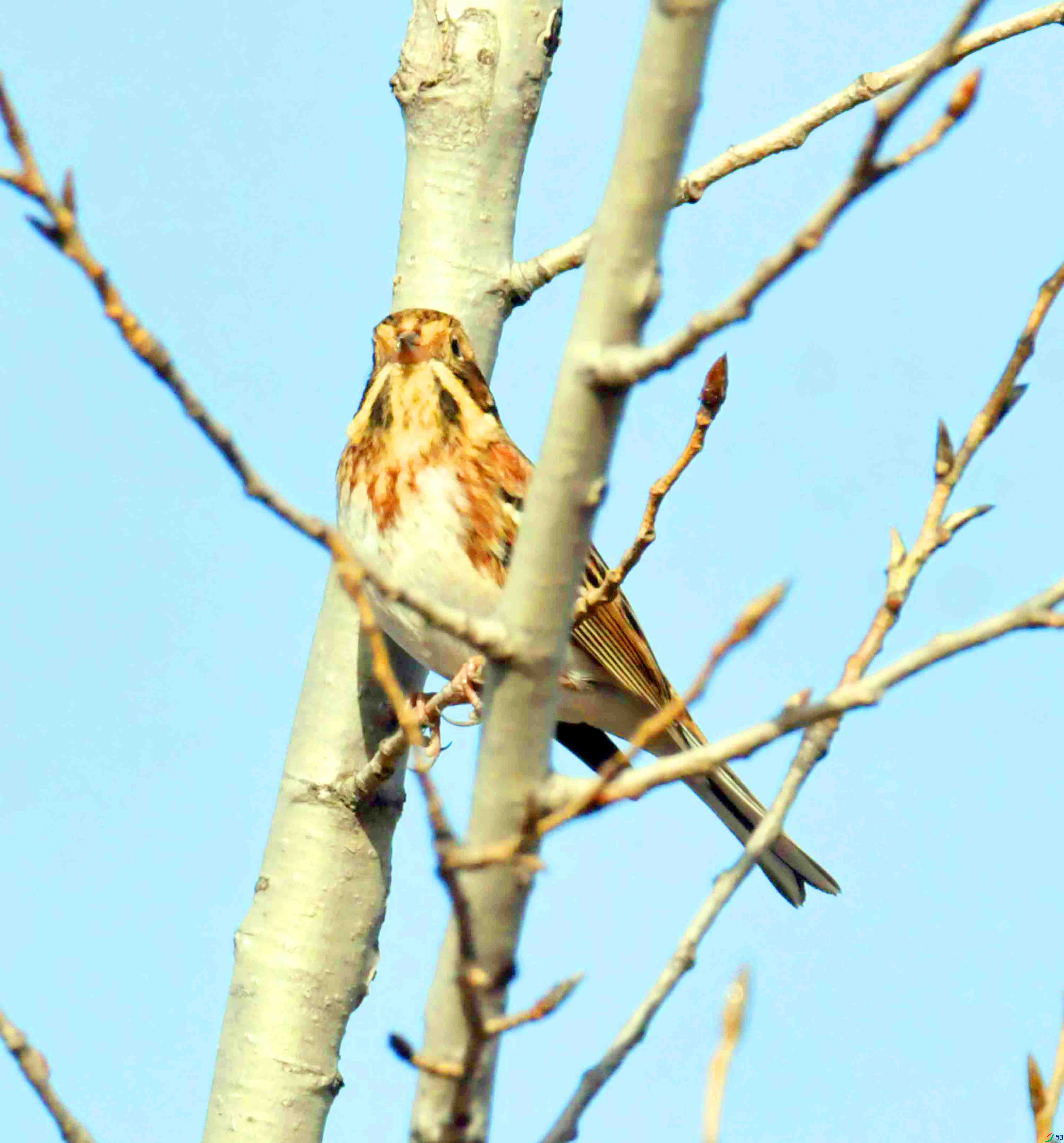 DSC_3830.JPG