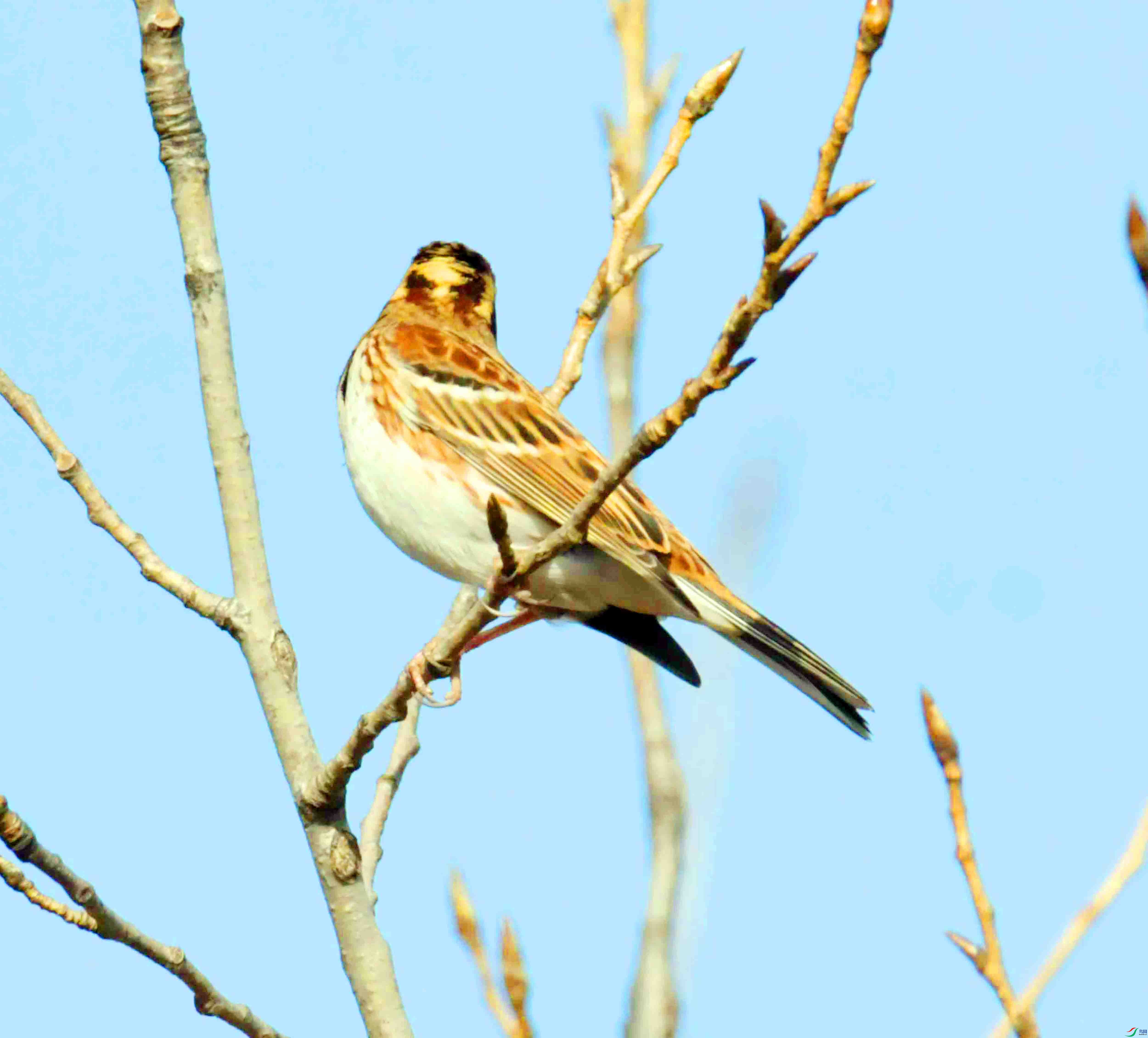 DSC_3857.JPG
