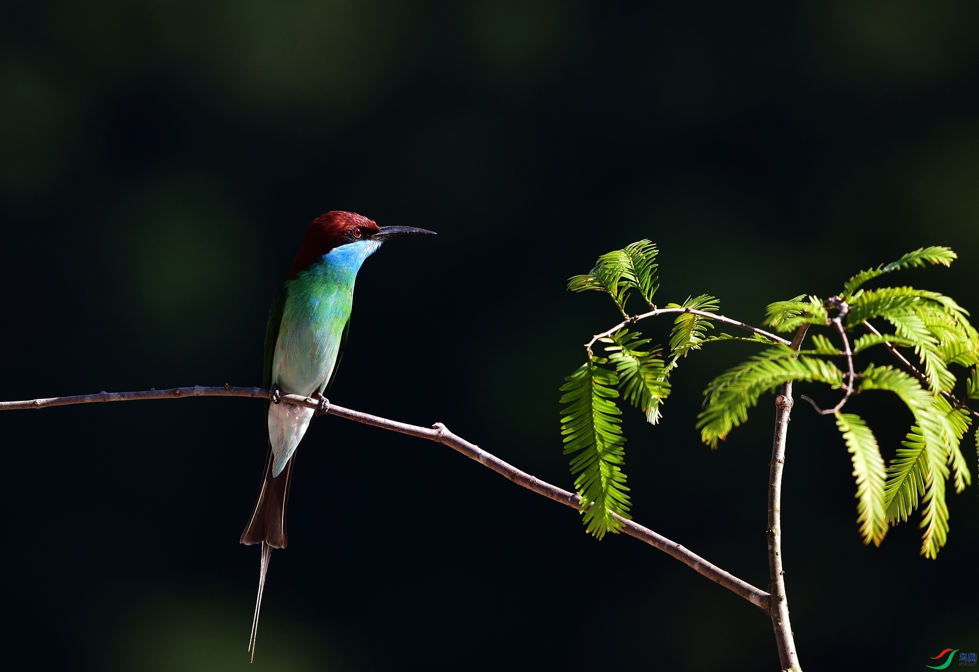 D8I_6005.jpg