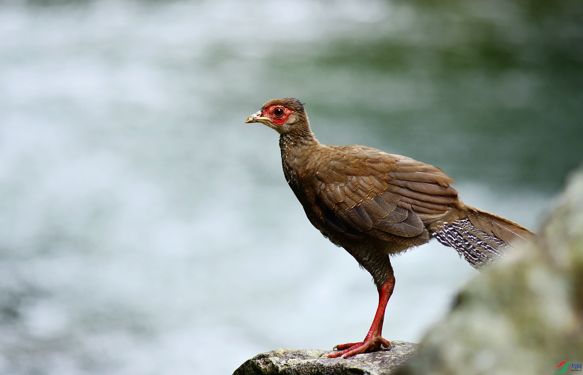 D8I_6898.jpg