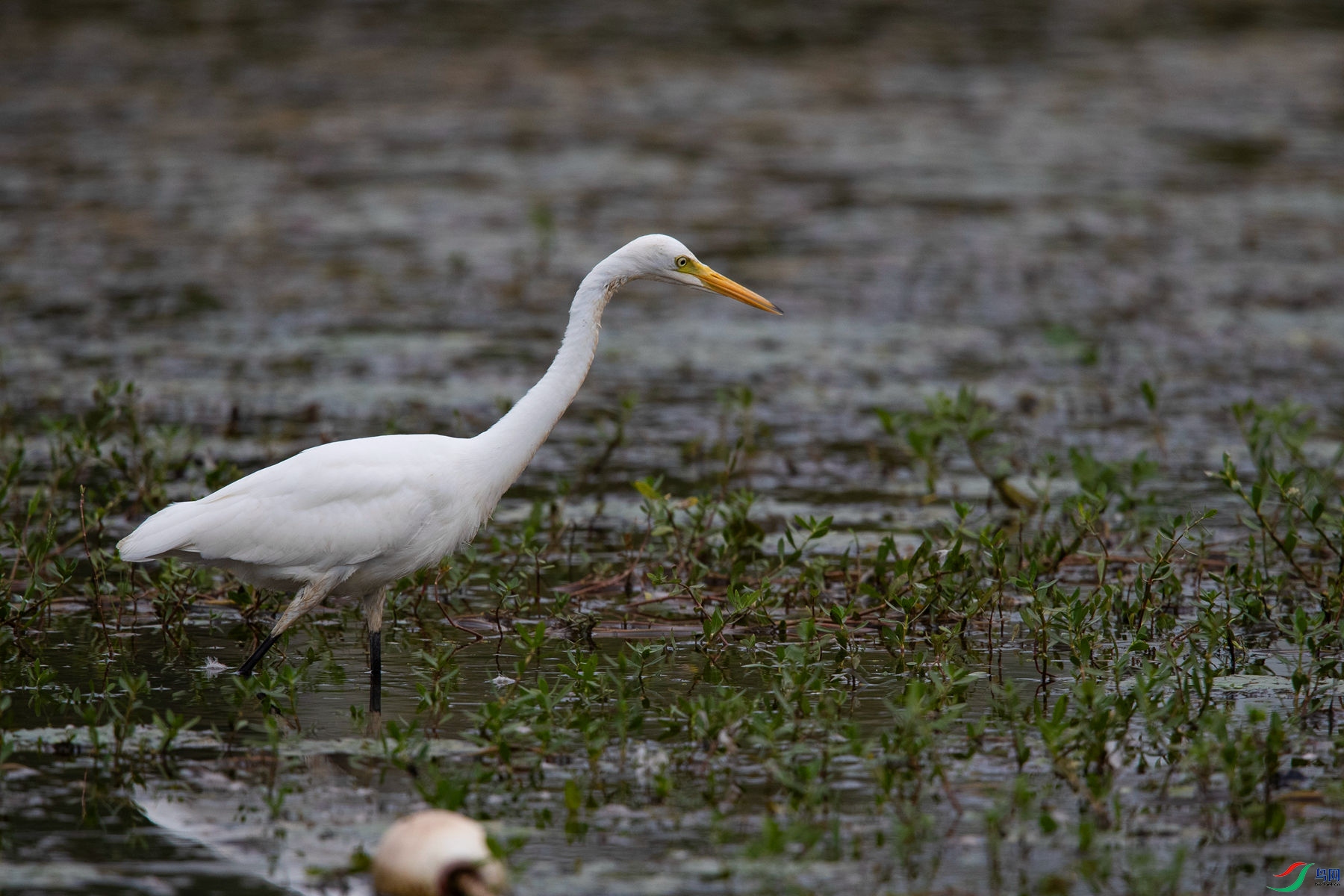 ��԰����6