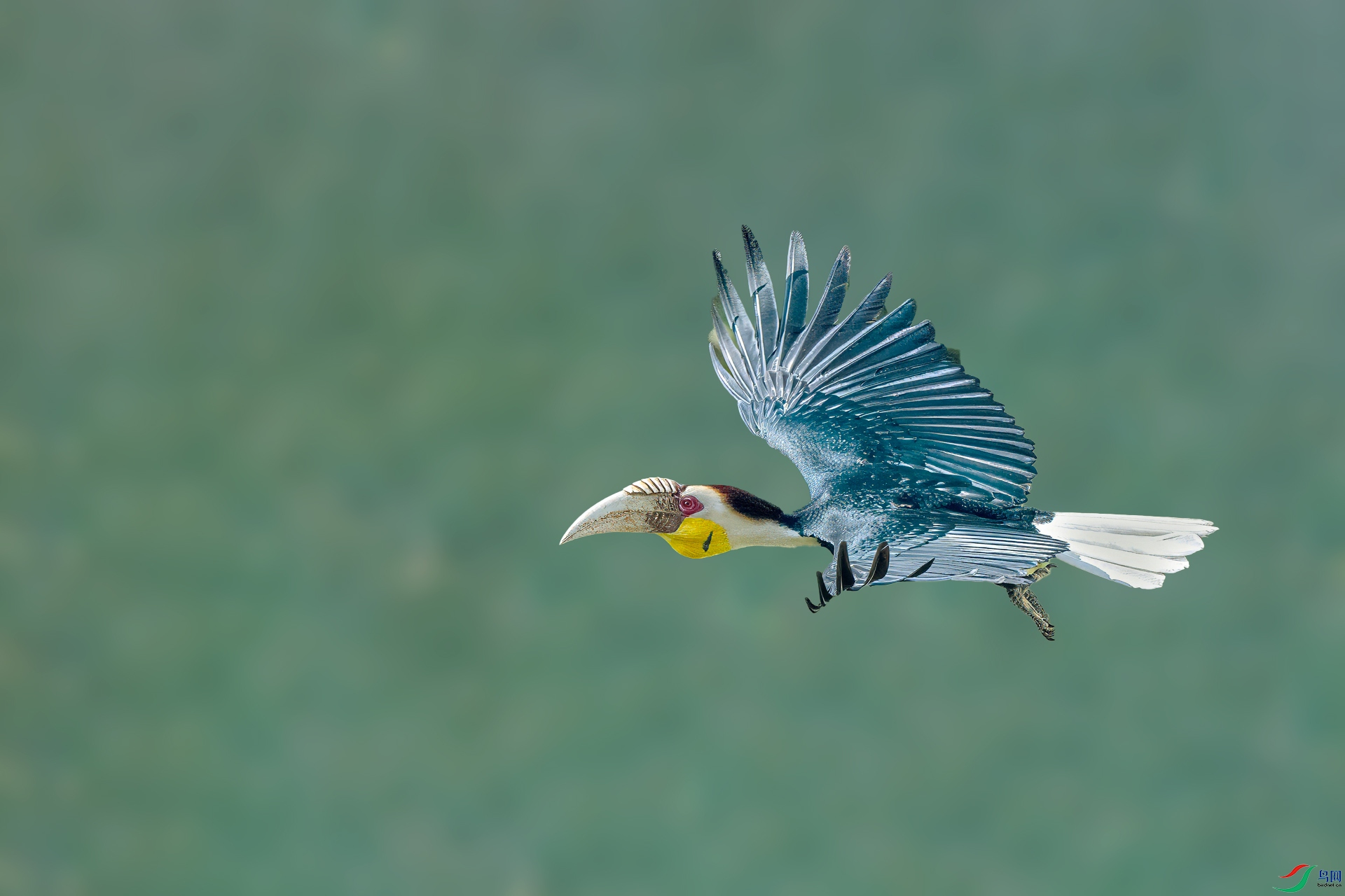 DSC_6044-denoise-sharpen.jpg