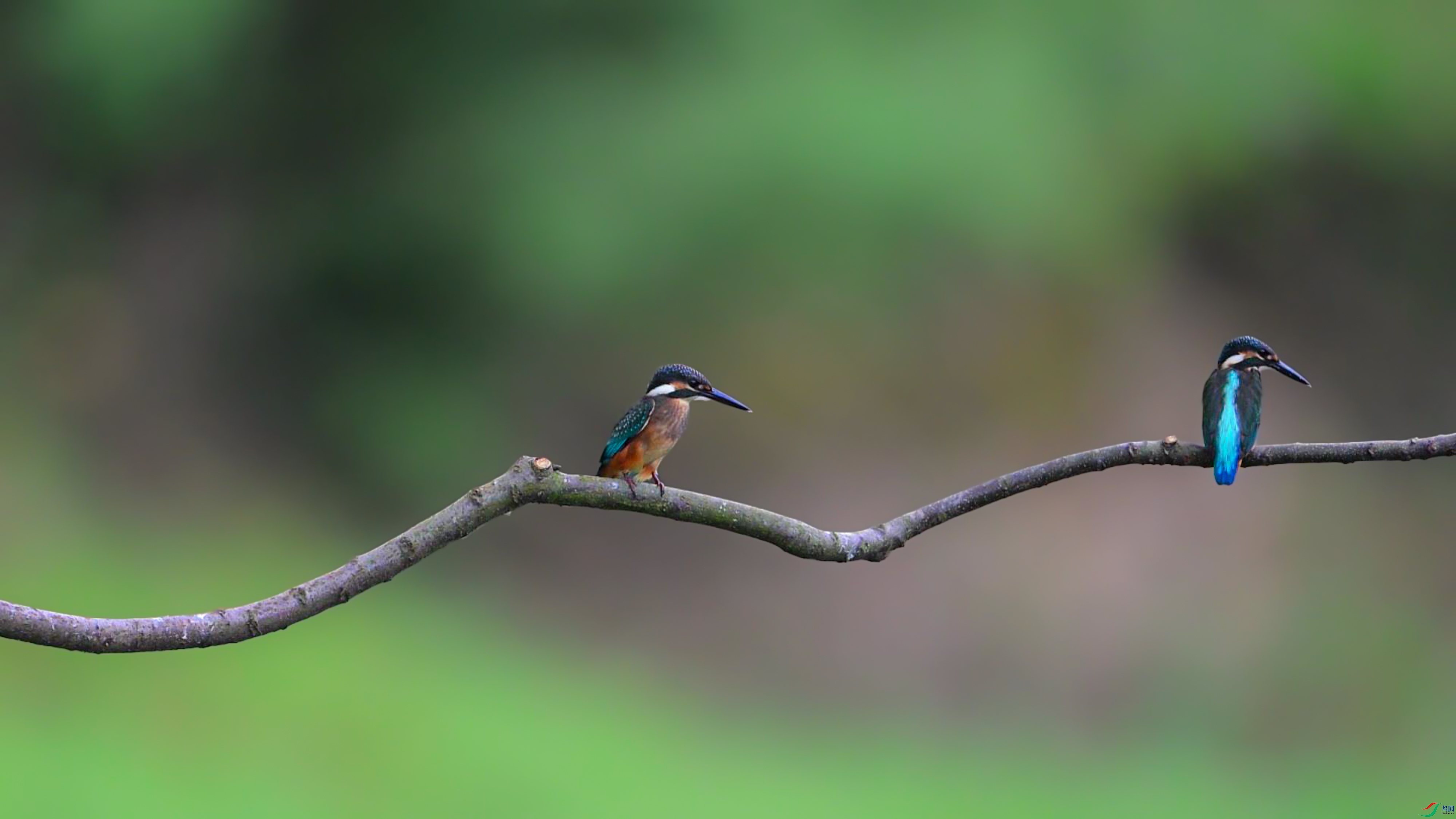 2024-07-26 08-42-31_1.jpg