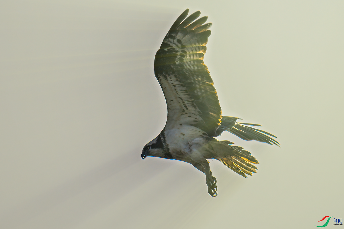 001.png