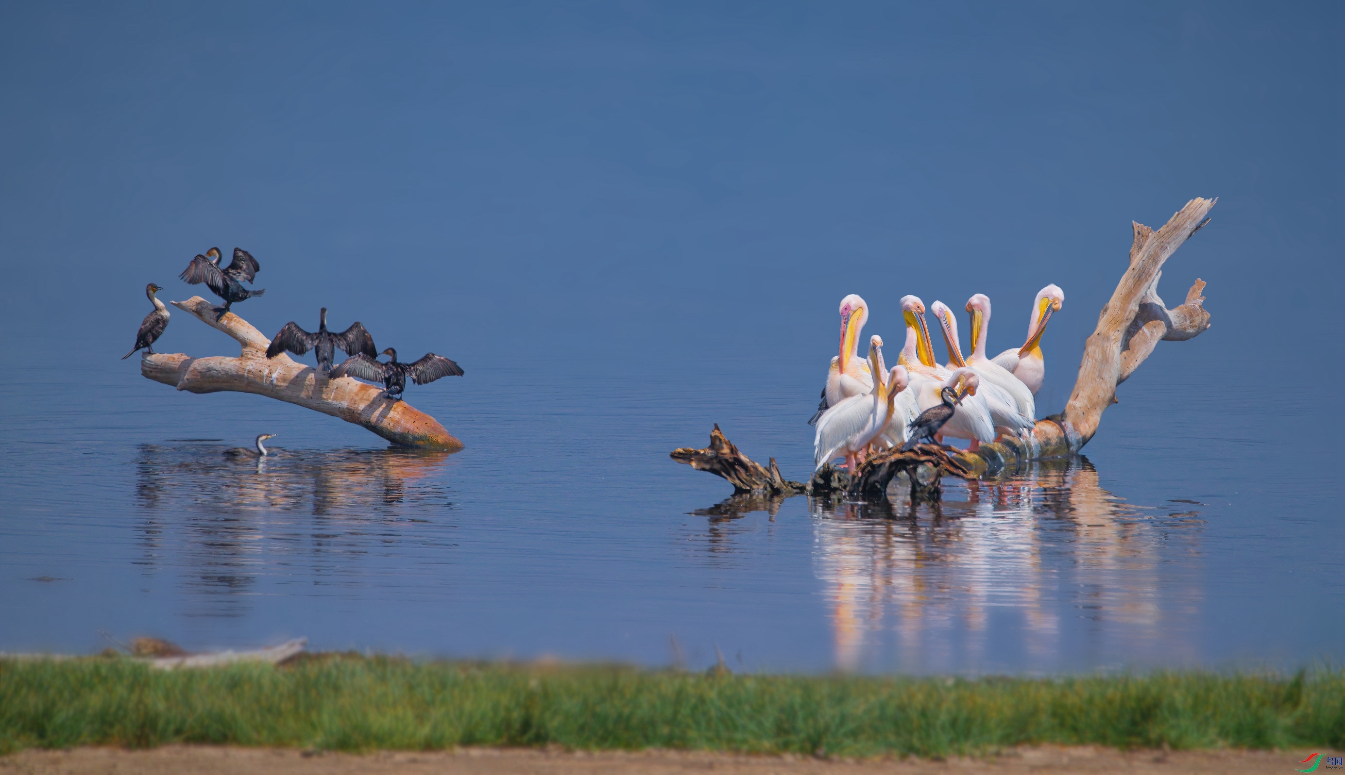 _74I0512-1--gqfd ����.jpg