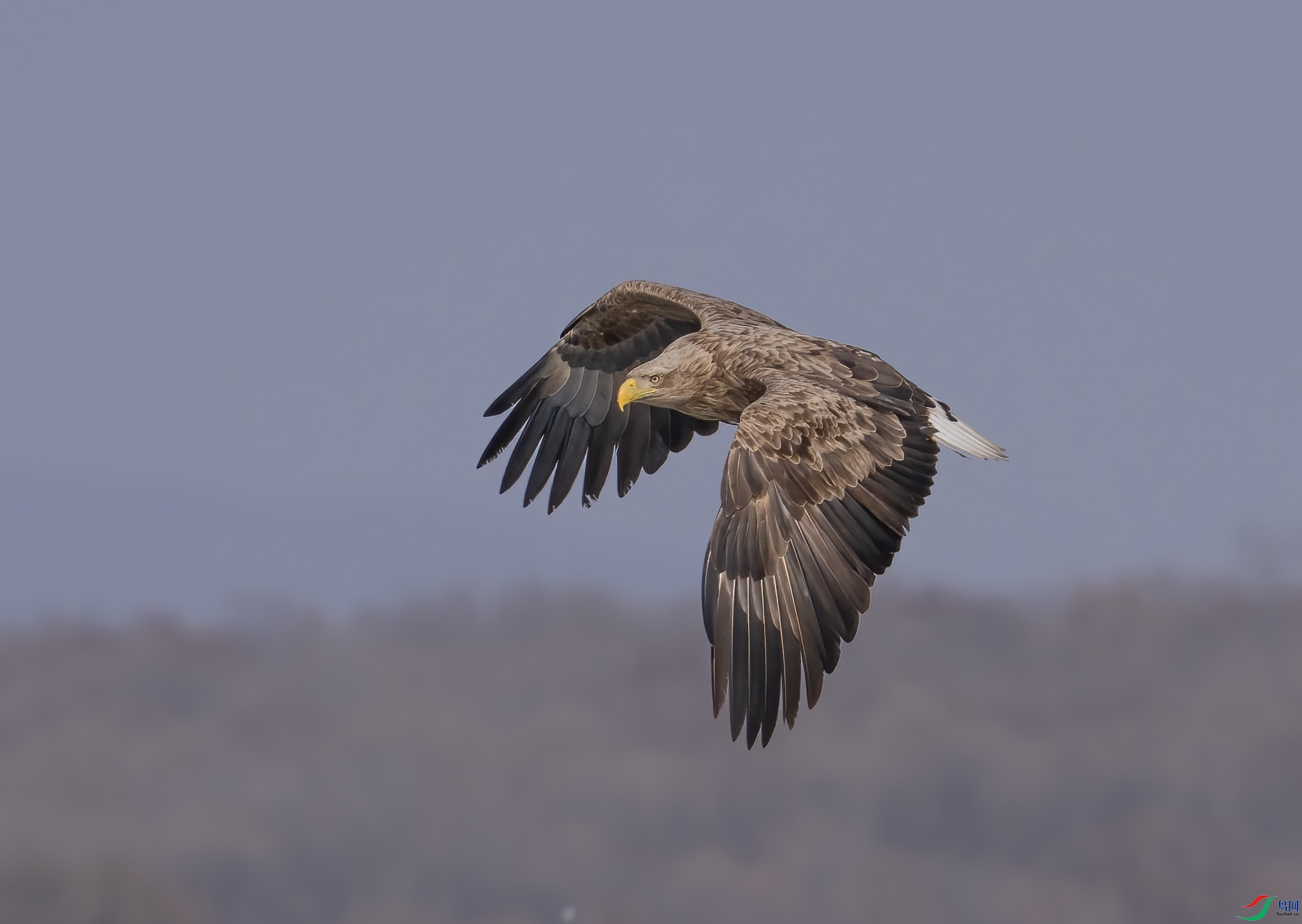 DSC00007 (2) ����.jpg