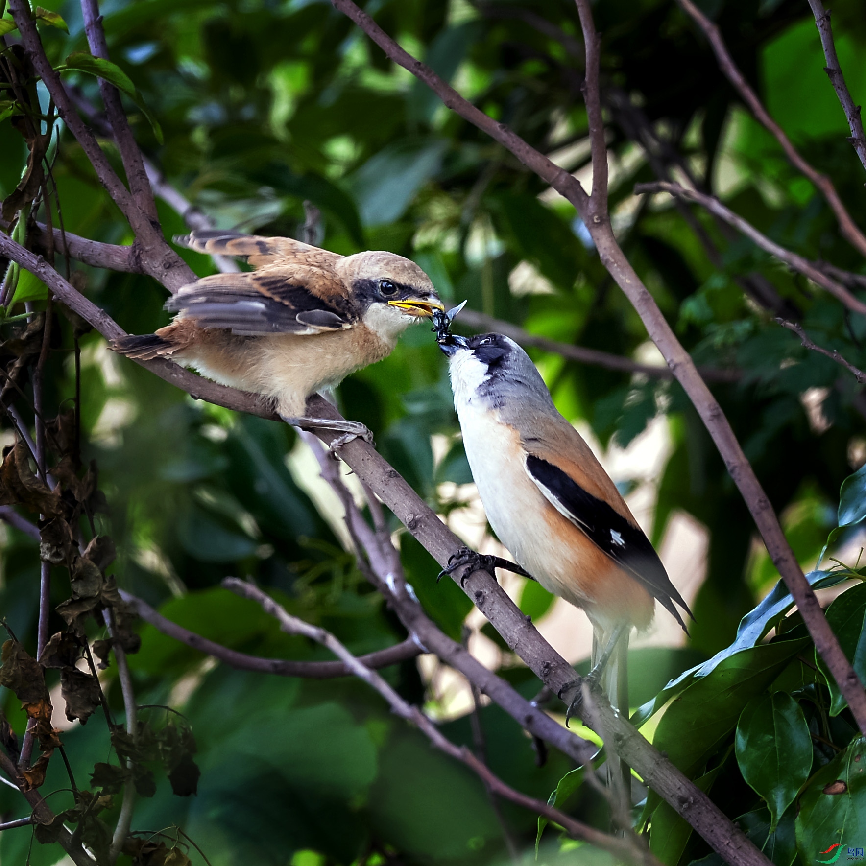 DSC_3703.jpg