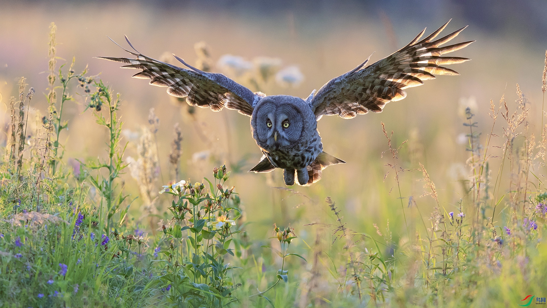 089A8226_��ͼ�� ����s.jpg