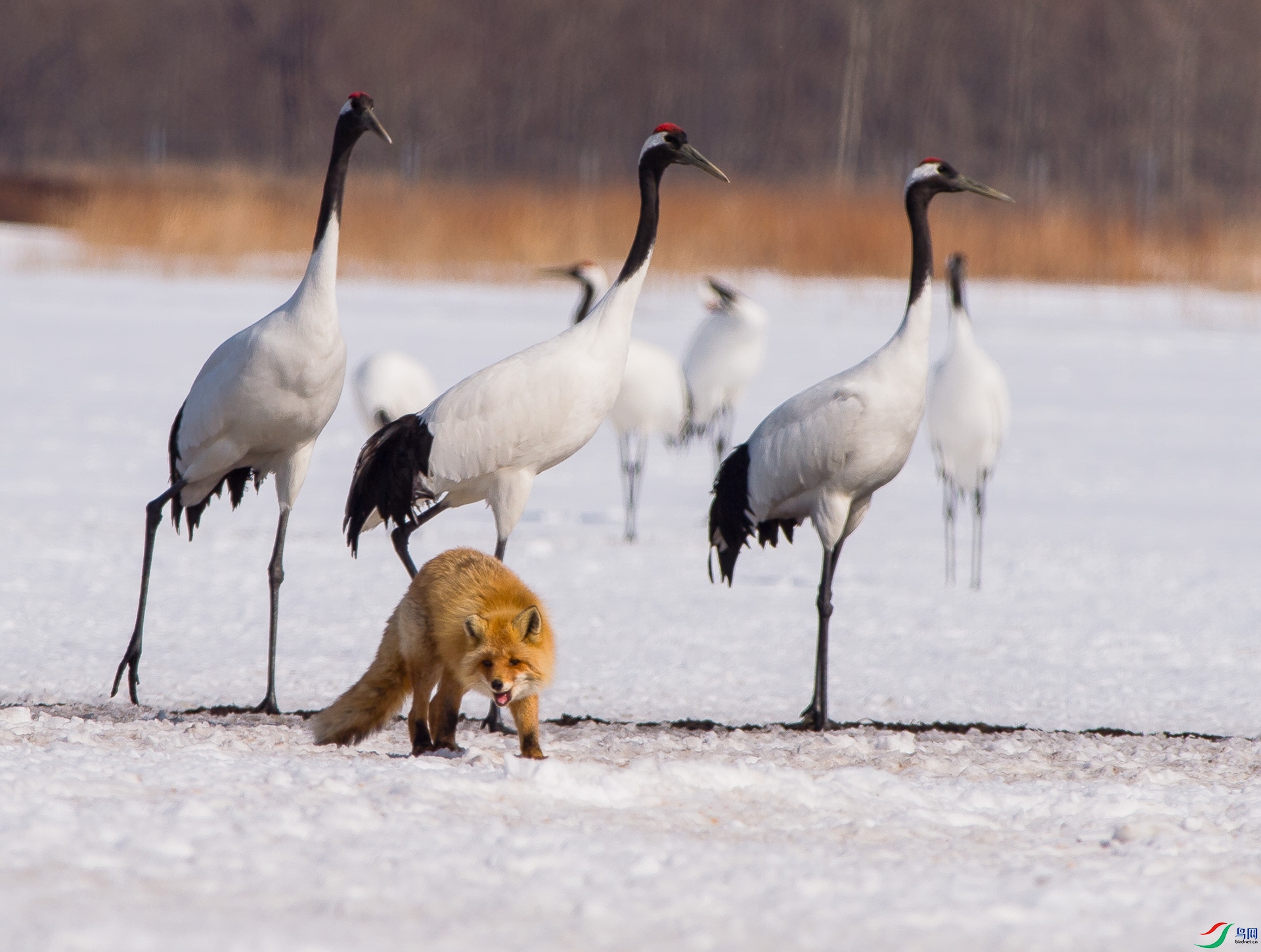 ��DSC_1416.jpg