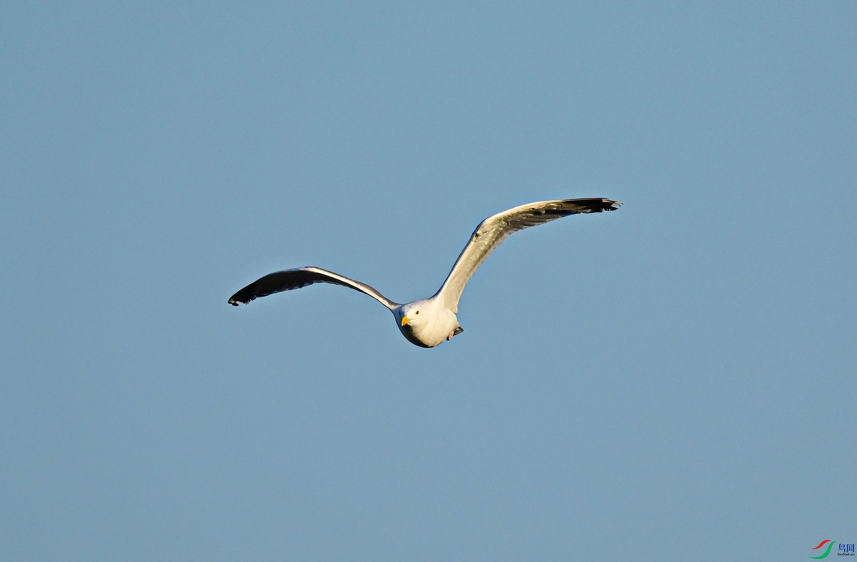 _DSC3500f.jpg