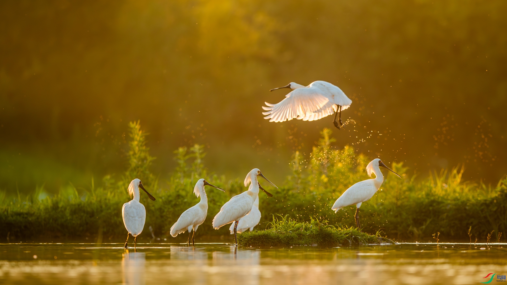 A40I4394-1��.jpg