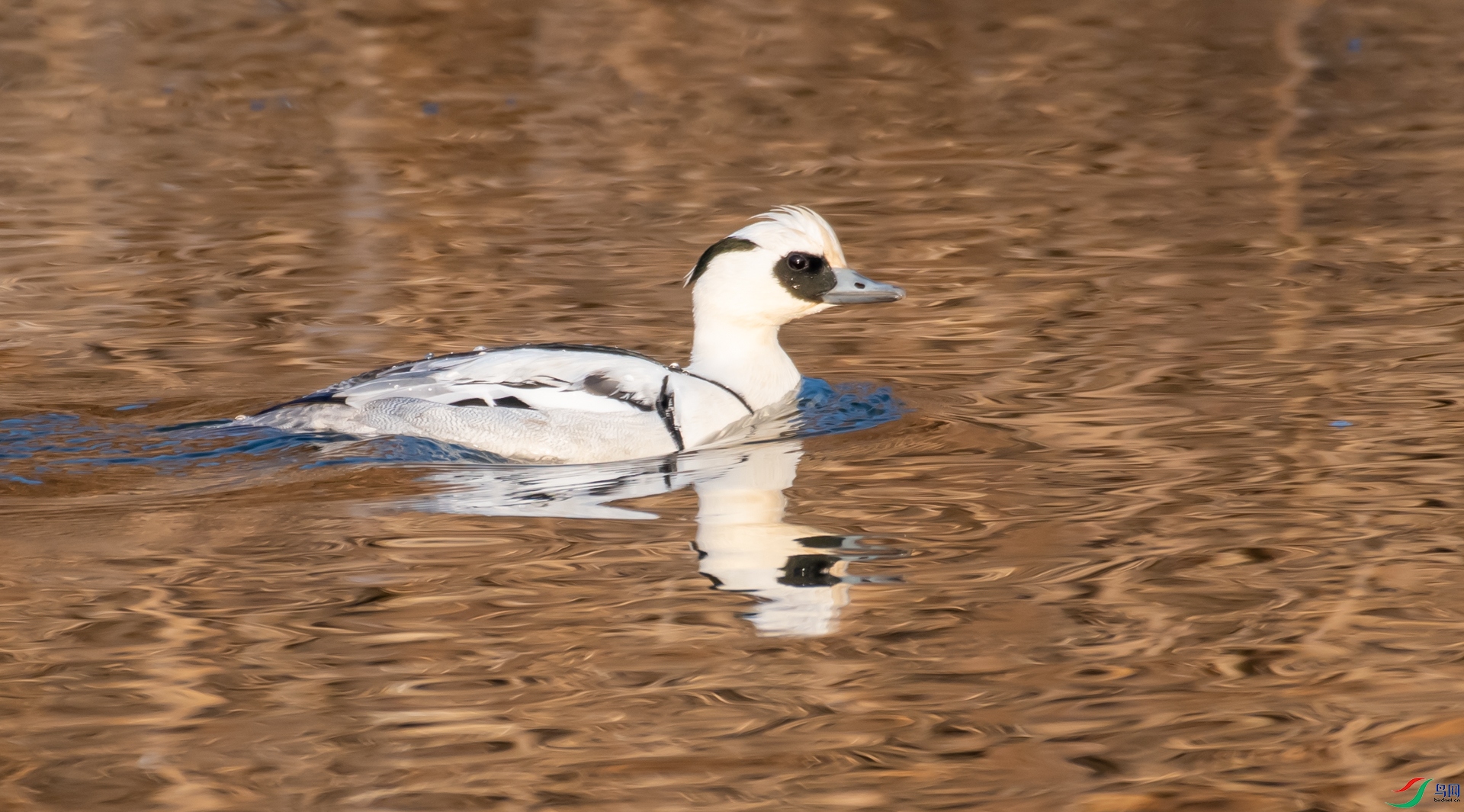 DSC_5328.jpg