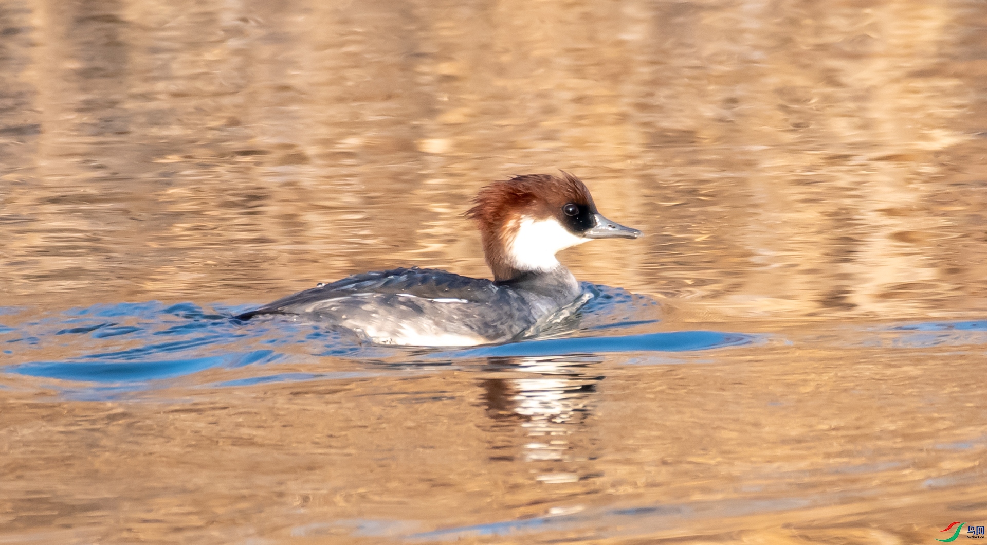 DSC_5346.jpg