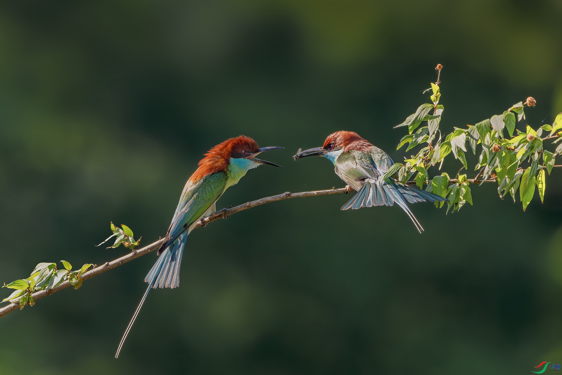 _DSC3989-����ǿ-NR ����С.jpg